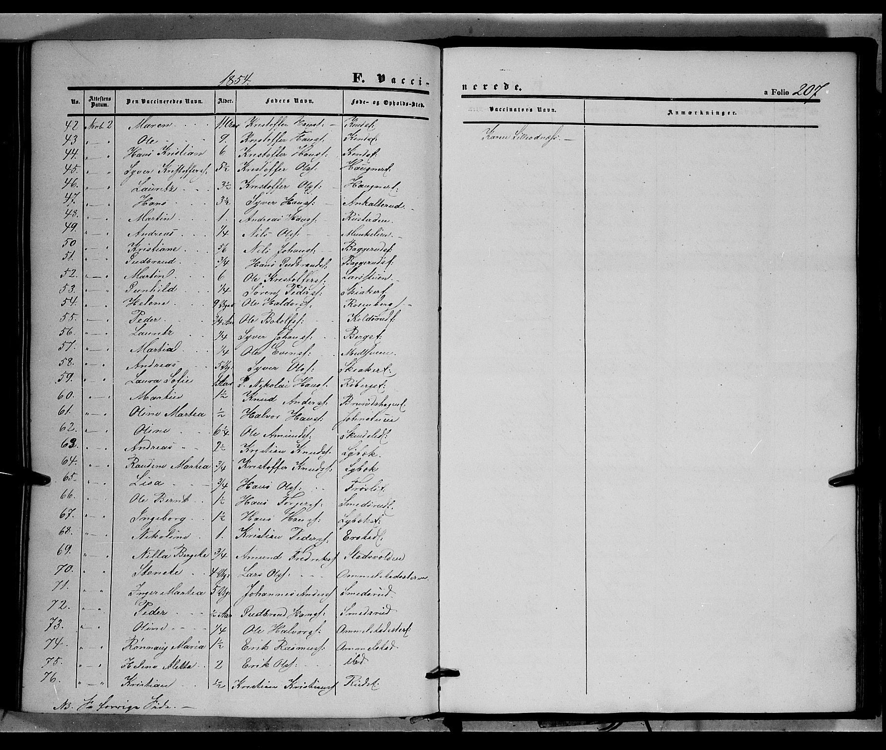 Land prestekontor, AV/SAH-PREST-120/H/Ha/Haa/L0010: Parish register (official) no. 10, 1847-1859, p. 207