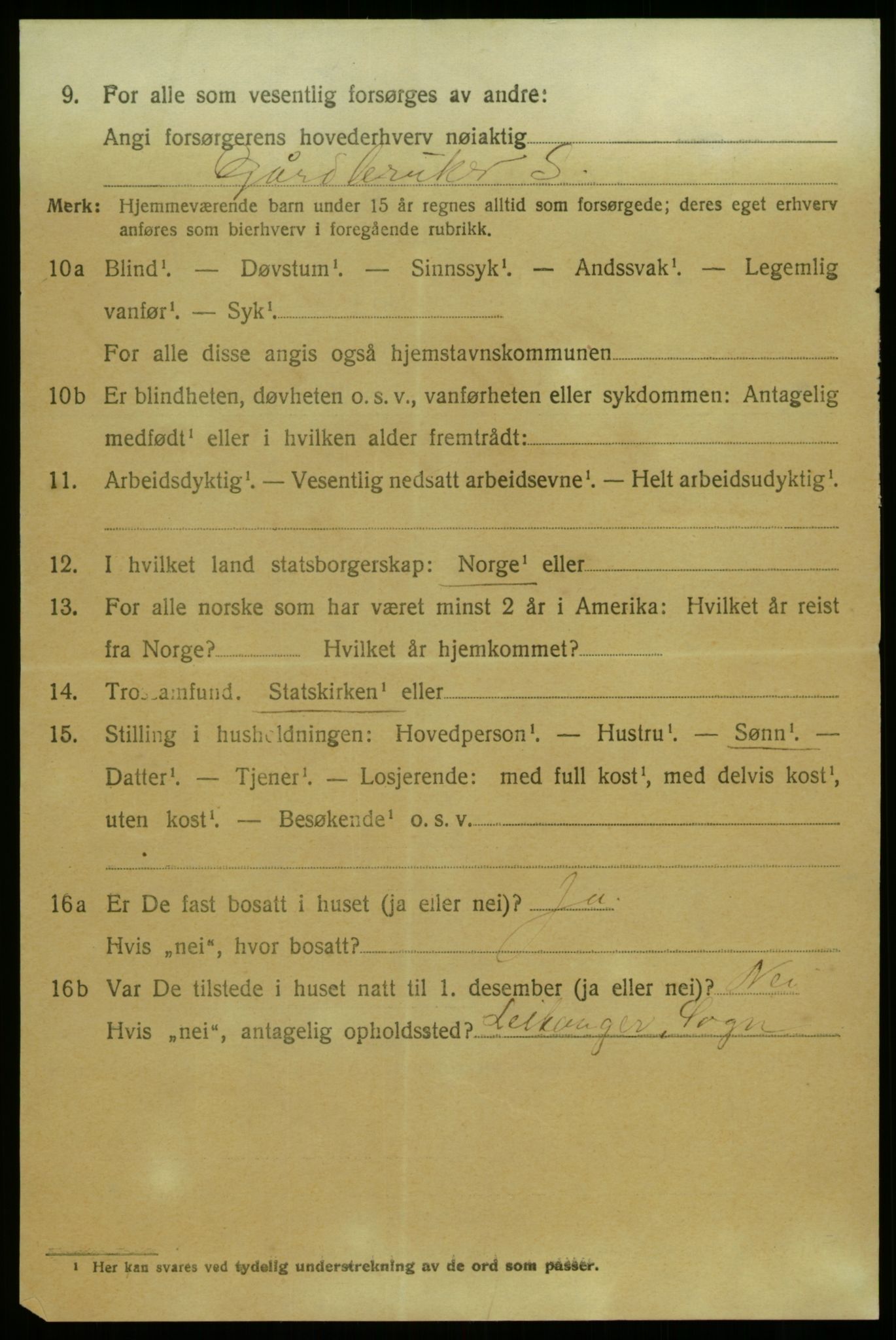 SAB, 1920 census for Hafslo, 1920, p. 1813