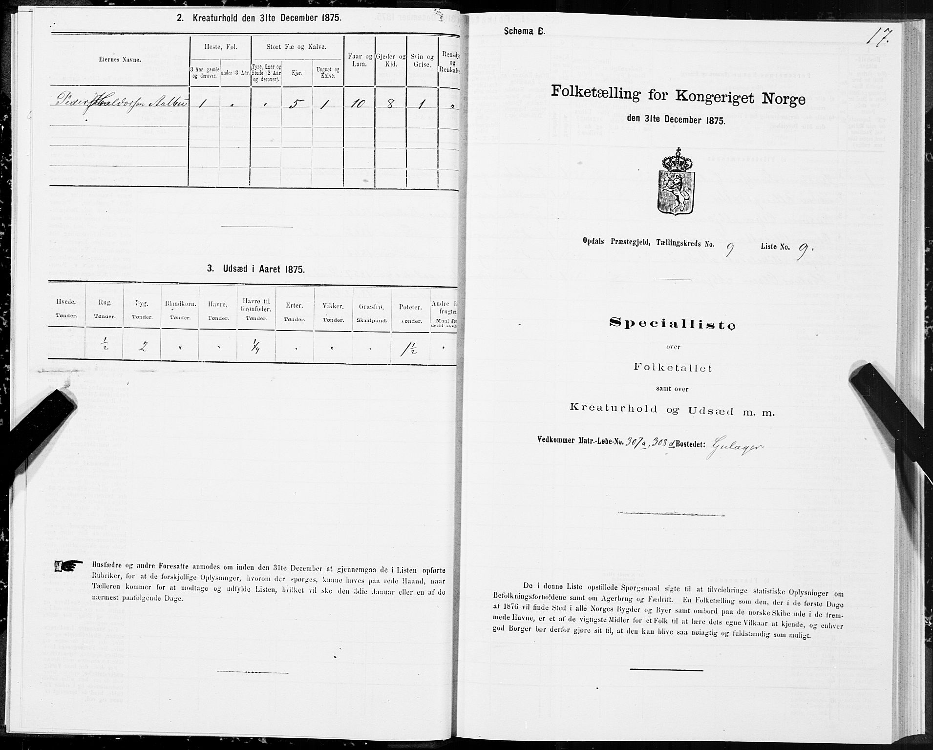 SAT, 1875 census for 1634P Oppdal, 1875, p. 6017