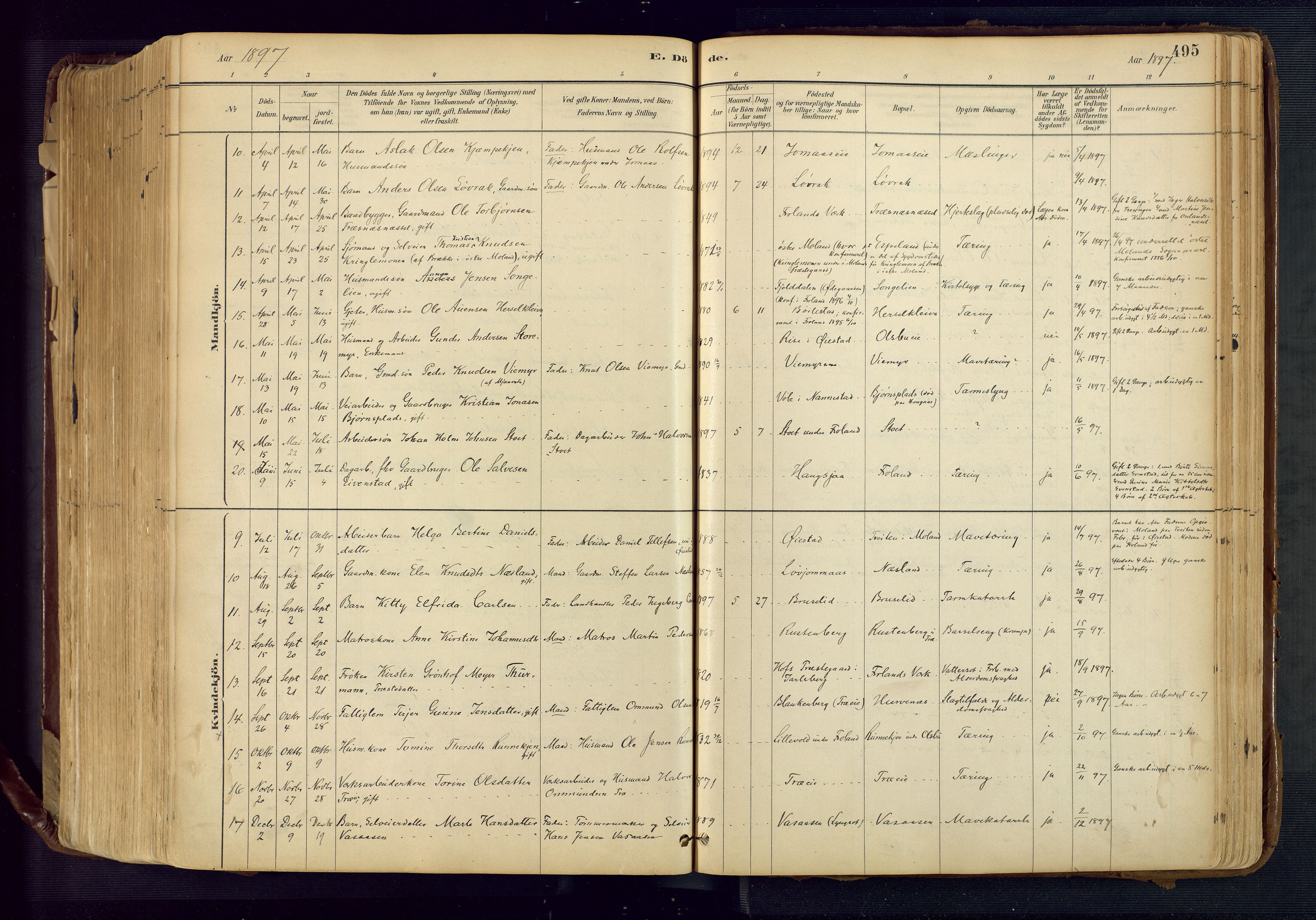 Froland sokneprestkontor, SAK/1111-0013/F/Fa/L0005: Parish register (official) no. A 5, 1882-1921, p. 495