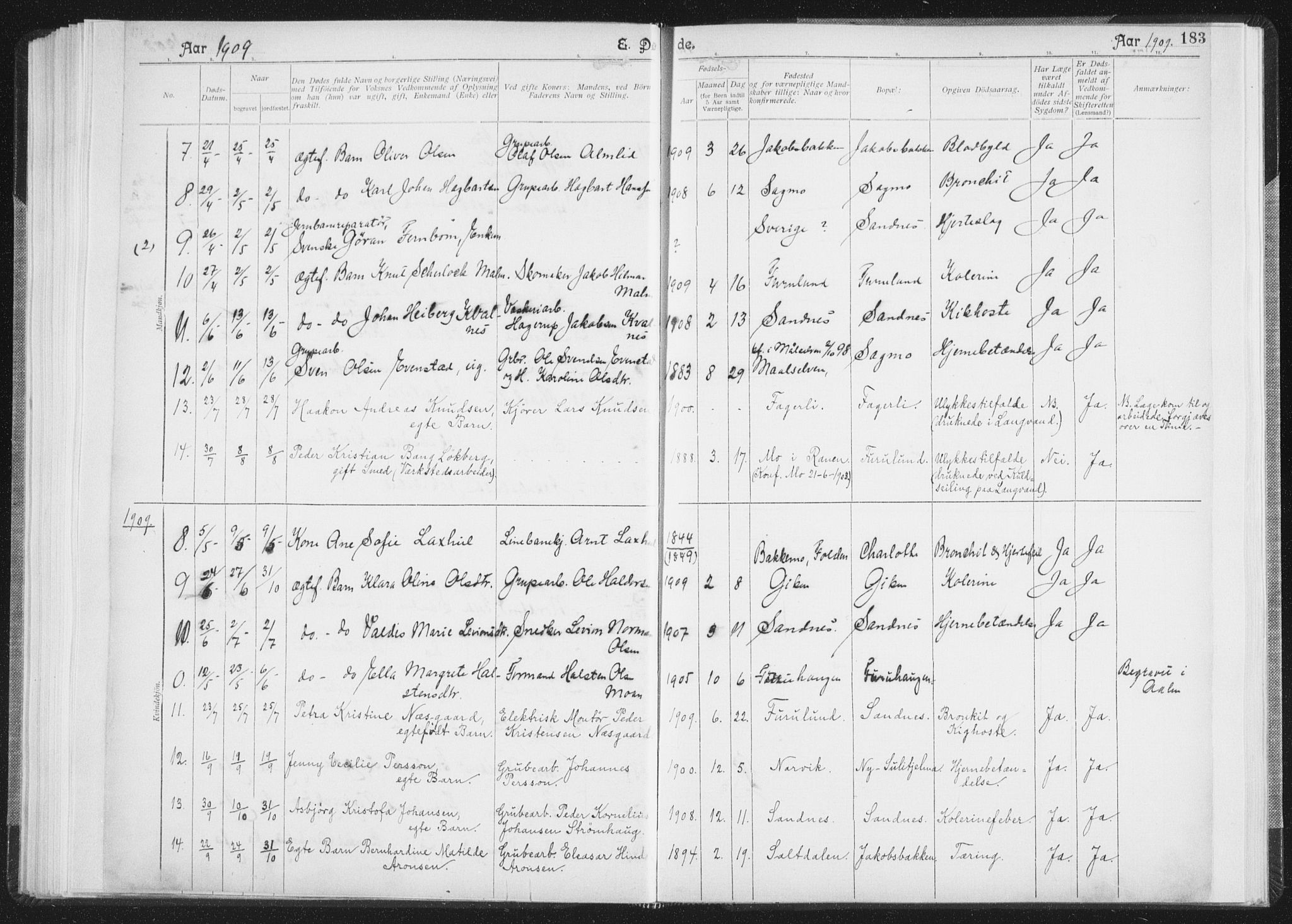 Ministerialprotokoller, klokkerbøker og fødselsregistre - Nordland, AV/SAT-A-1459/850/L0711: Curate's parish register no. 850B01, 1902-1915, p. 183