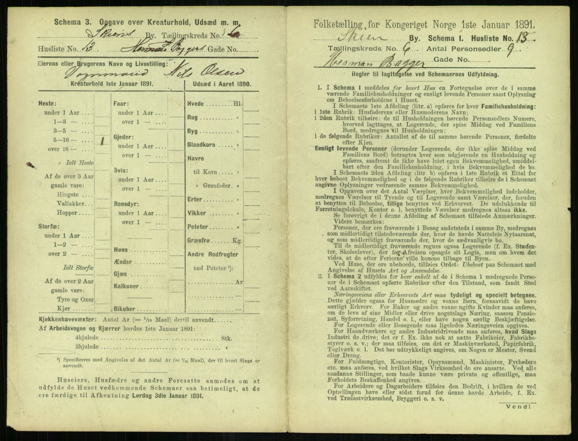 RA, 1891 census for 0806 Skien, 1891, p. 304