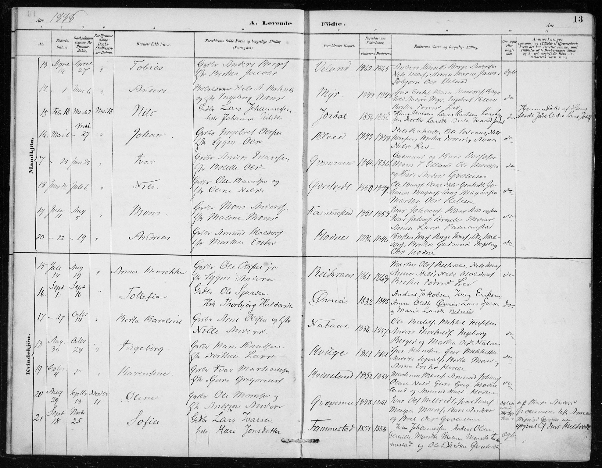 Lindås Sokneprestembete, AV/SAB-A-76701/H/Haa/Haaf/L0001: Parish register (official) no. F  1, 1886-1897, p. 13