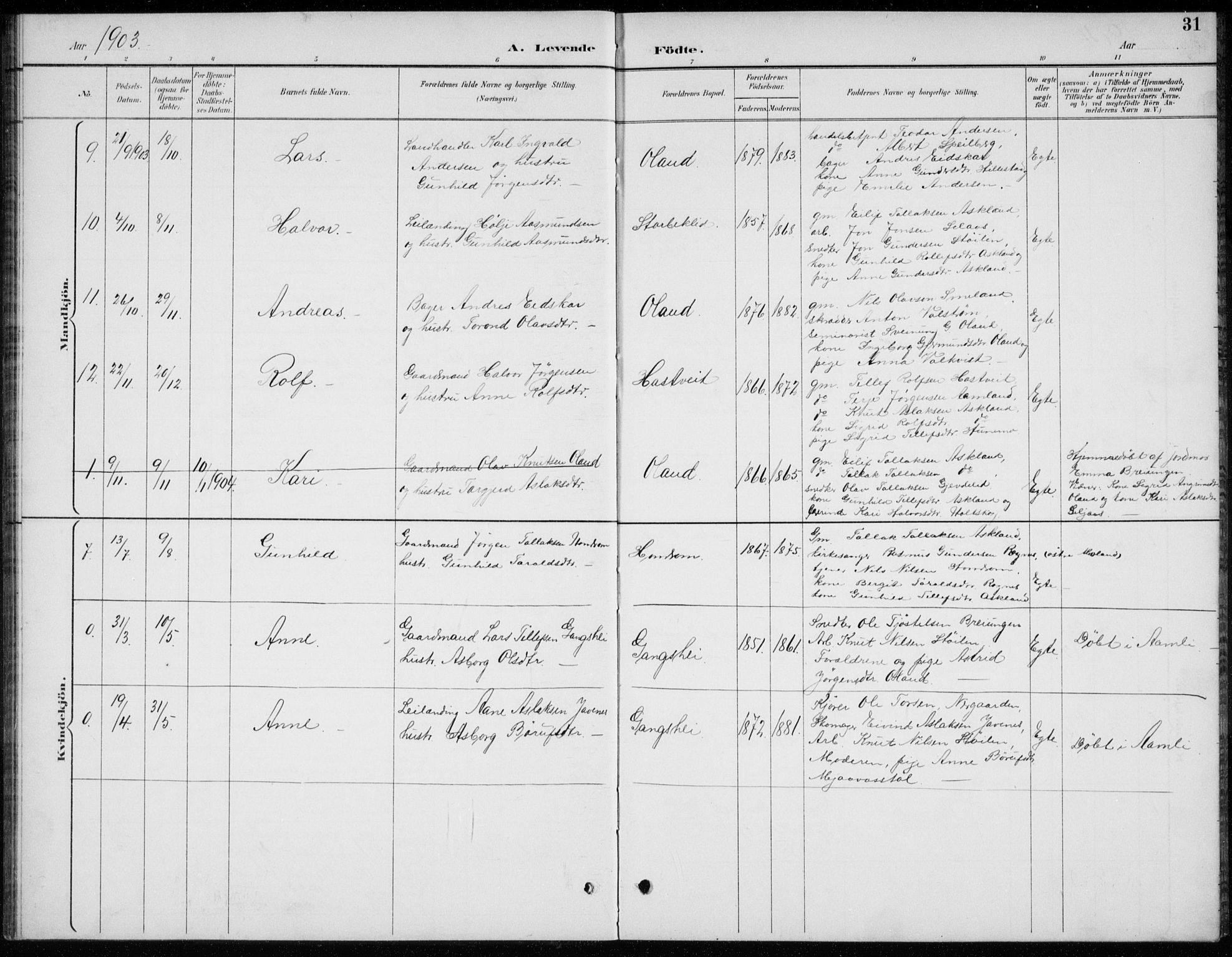 Åmli sokneprestkontor, AV/SAK-1111-0050/F/Fb/Fba/L0002: Parish register (copy) no. B 2, 1890-1912, p. 31