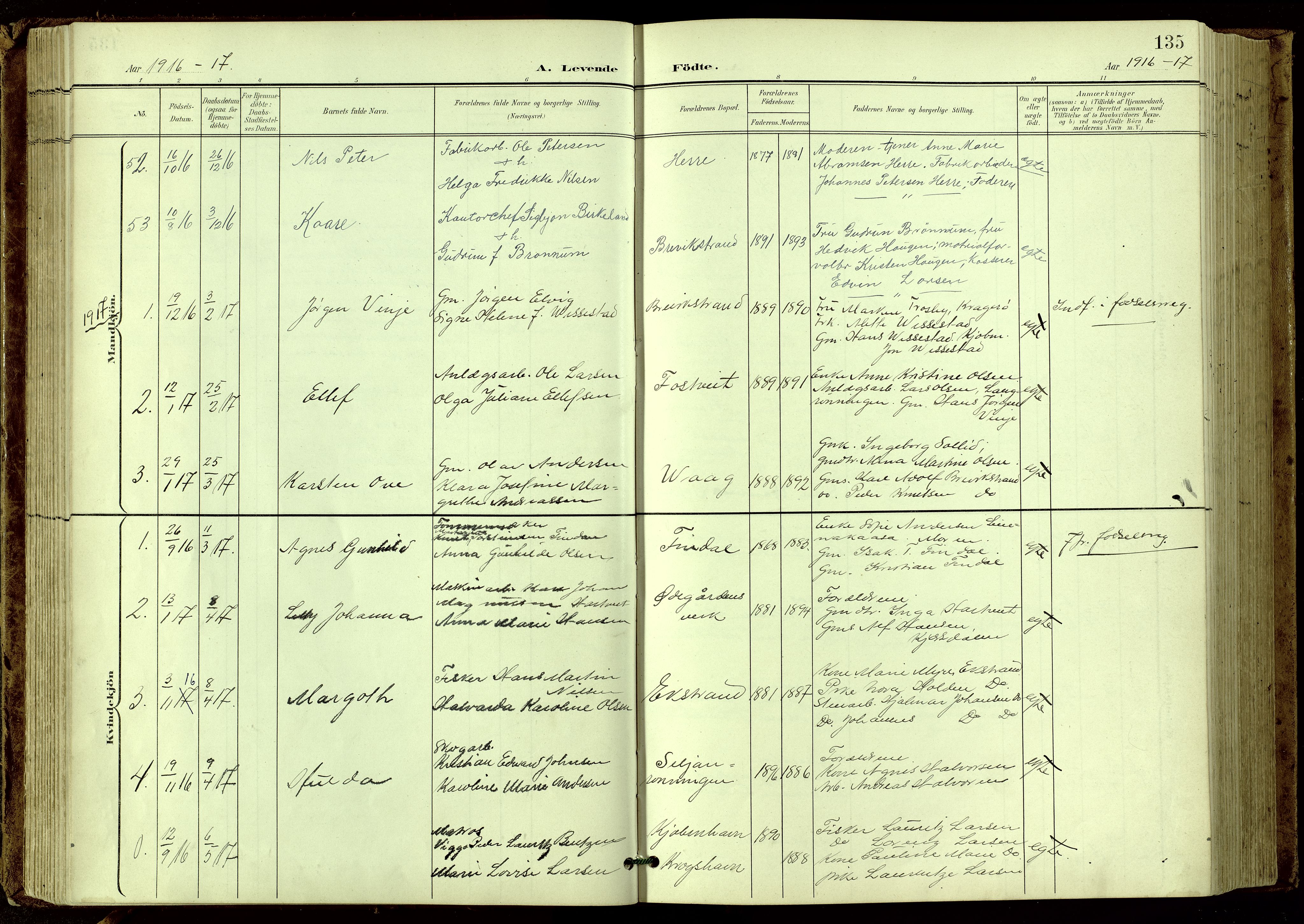 Bamble kirkebøker, SAKO/A-253/G/Ga/L0010: Parish register (copy) no. I 10, 1901-1919, p. 135
