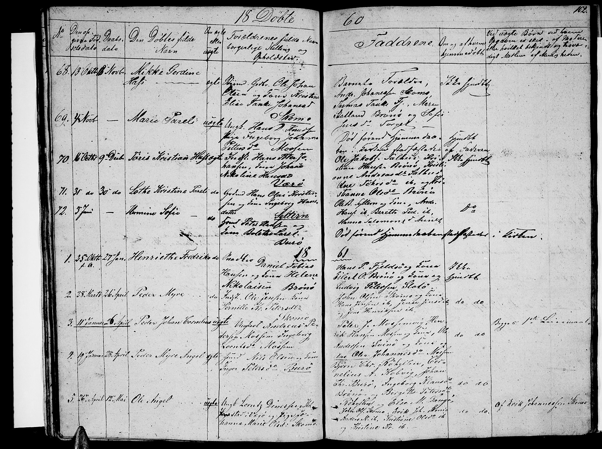 Ministerialprotokoller, klokkerbøker og fødselsregistre - Nordland, AV/SAT-A-1459/813/L0211: Parish register (copy) no. 813C03, 1842-1863, p. 102