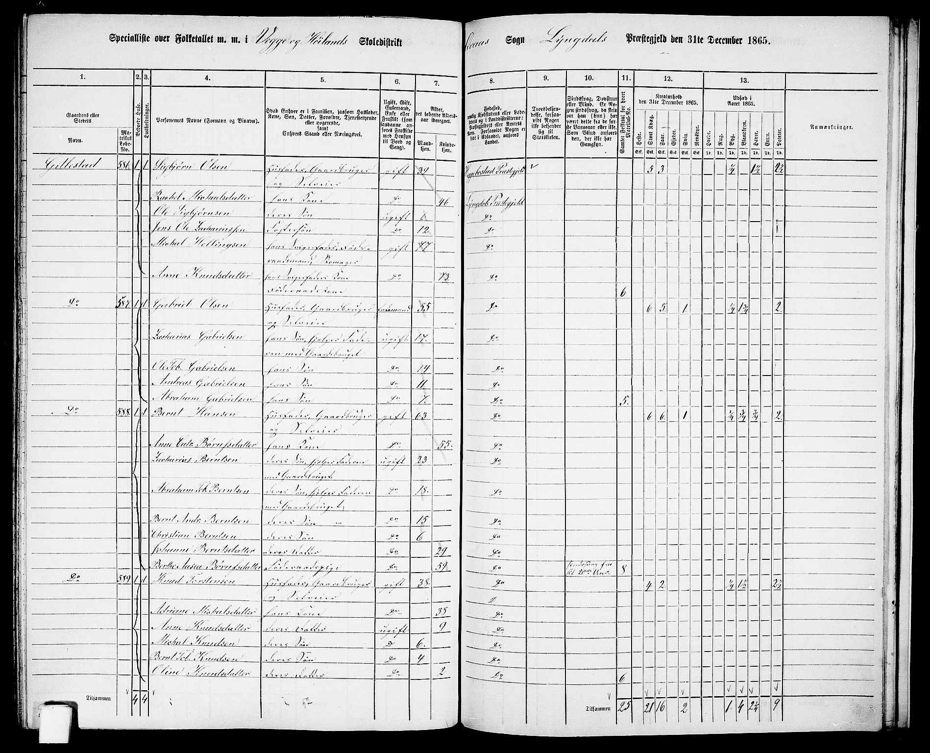 RA, 1865 census for Lyngdal, 1865, p. 228