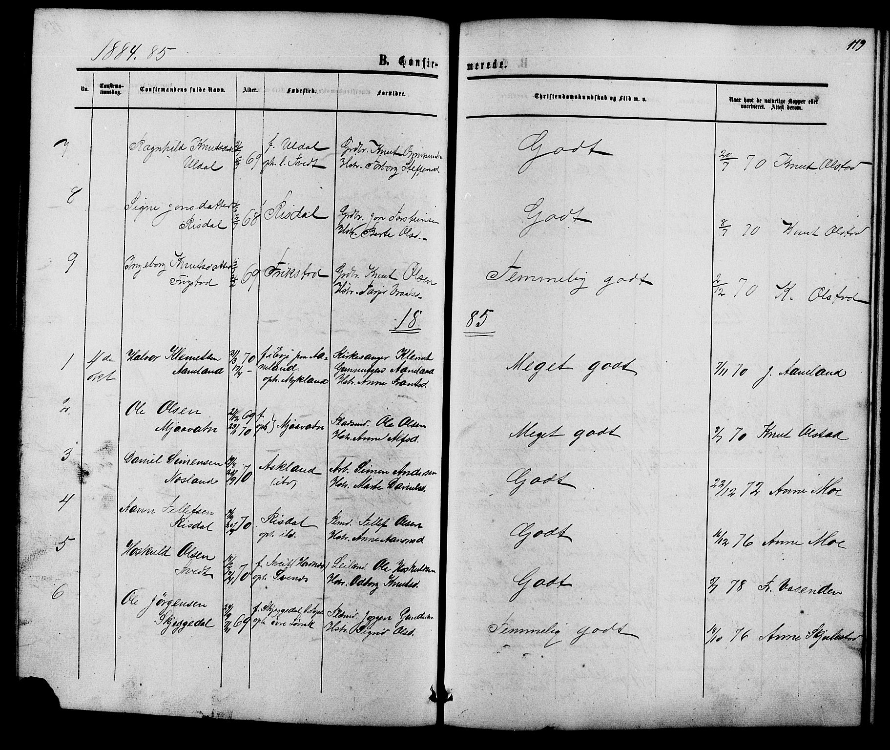 Herefoss sokneprestkontor, AV/SAK-1111-0019/F/Fb/Fbc/L0002: Parish register (copy) no. B 2, 1867-1886, p. 119