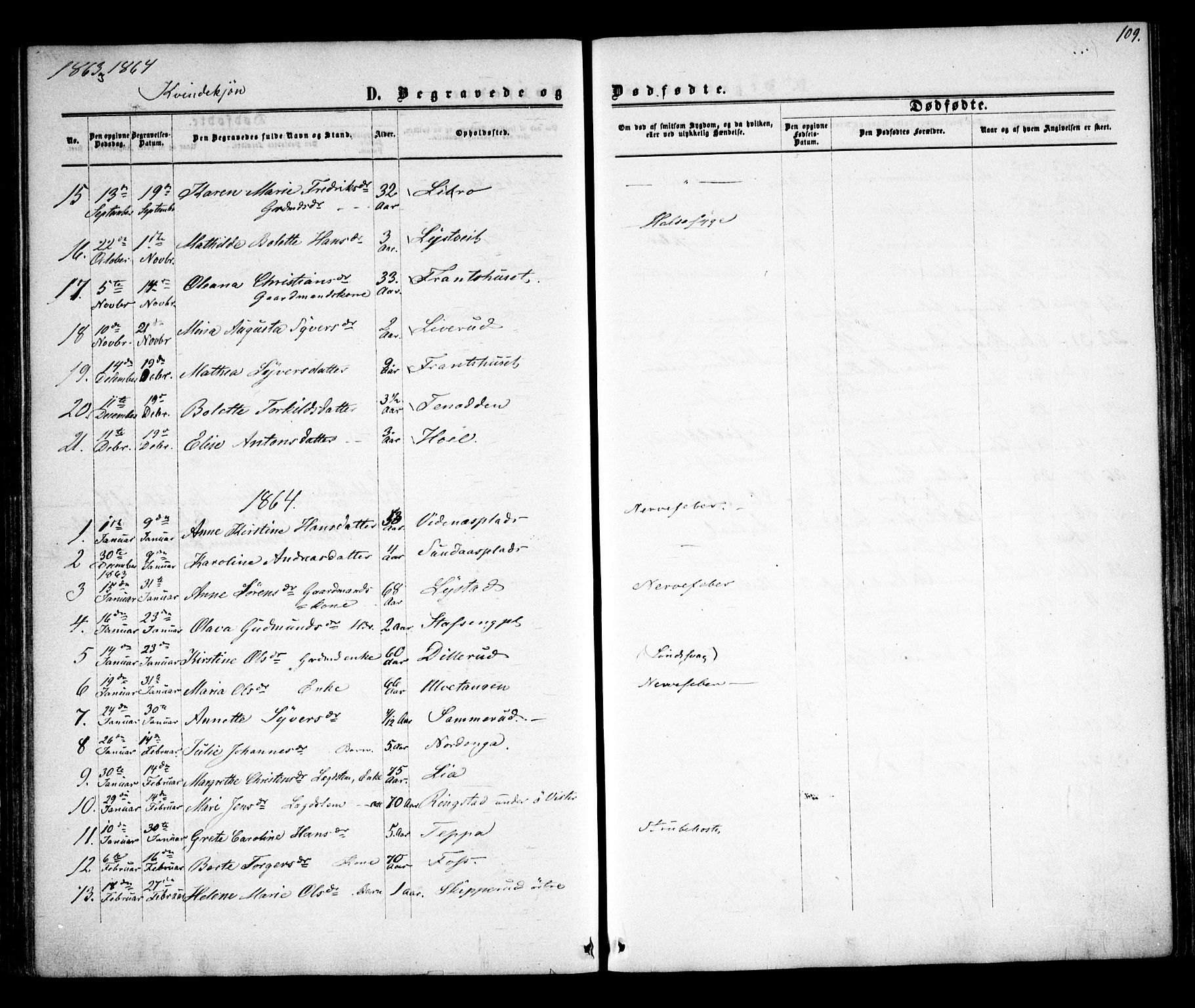 Skiptvet prestekontor Kirkebøker, AV/SAO-A-20009/F/Fa/L0007: Parish register (official) no. 7, 1861-1866, p. 109