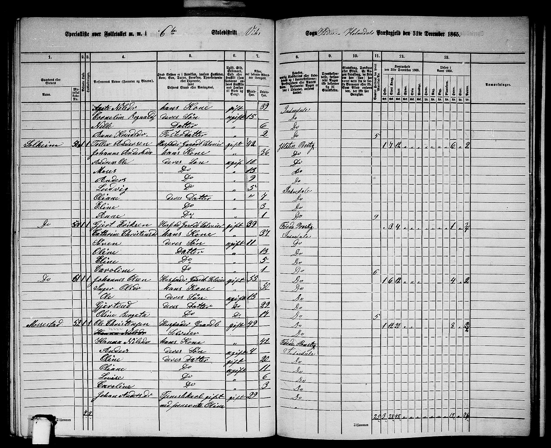 RA, 1865 census for Indre Holmedal, 1865, p. 133