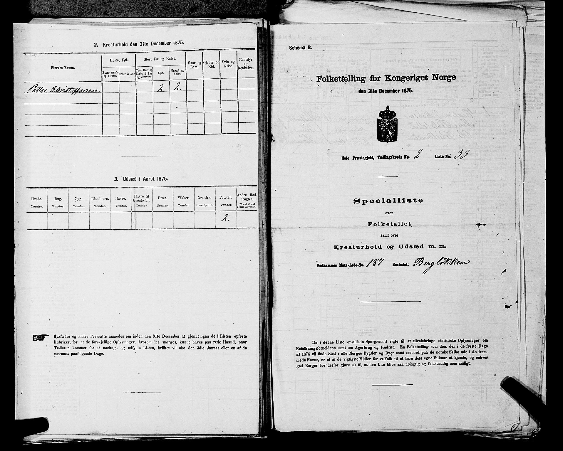 SAKO, 1875 census for 0612P Hole, 1875, p. 445