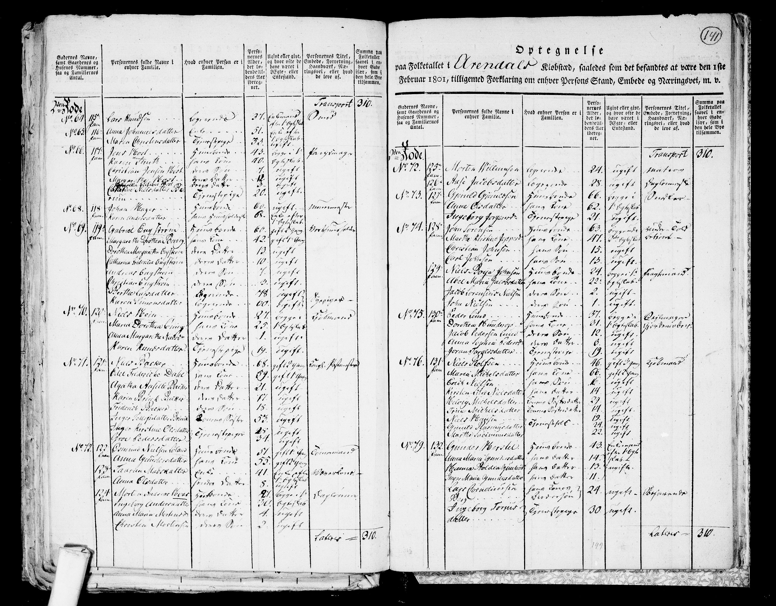 RA, 1801 census for 0903P Arendal, 1801, p. 140b-141a