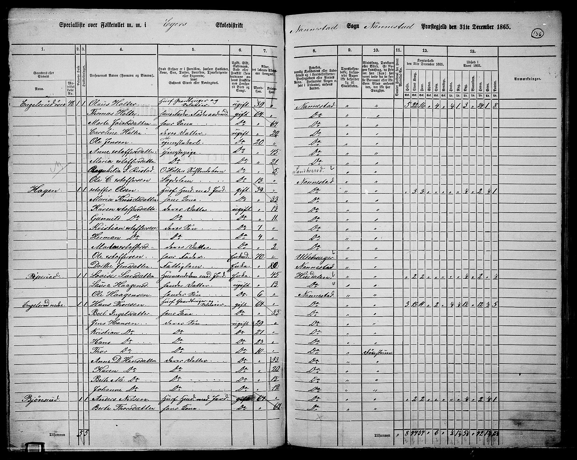 RA, 1865 census for Nannestad, 1865, p. 22