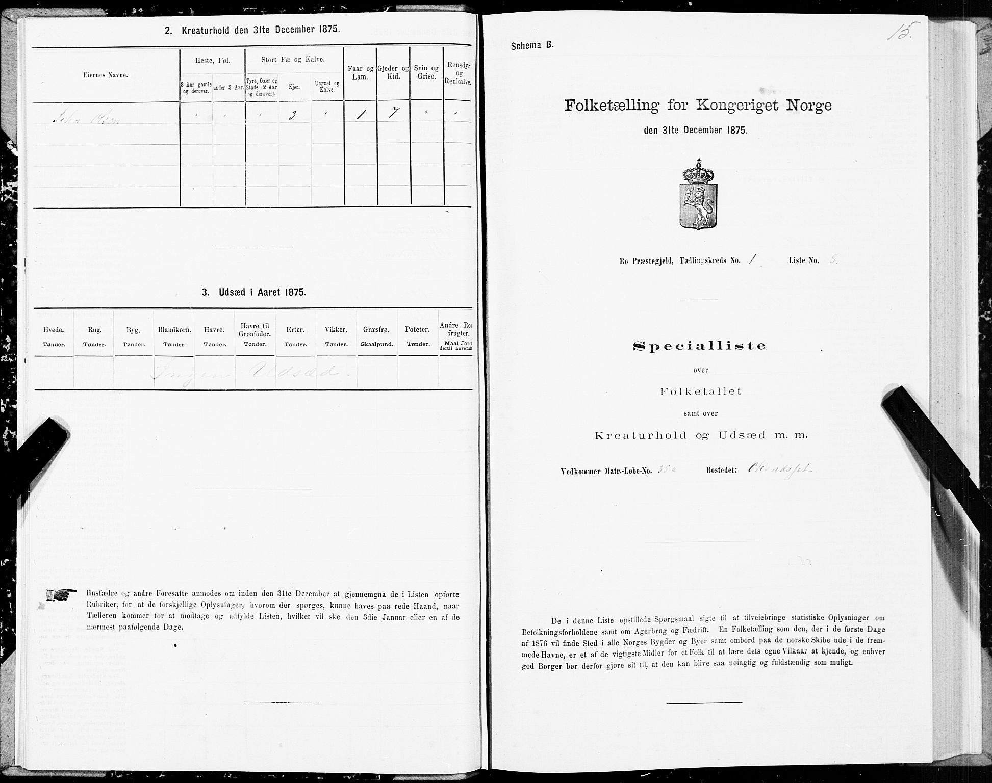 SAT, 1875 census for 1867P Bø, 1875, p. 1015