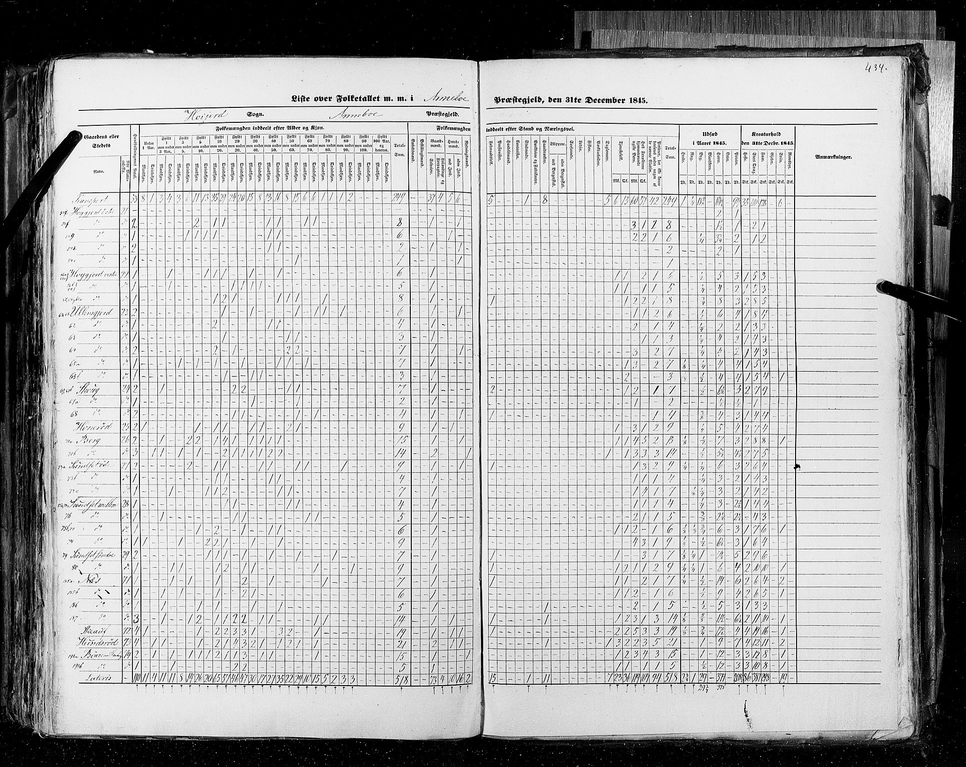 RA, Census 1845, vol. 4: Buskerud amt og Jarlsberg og Larvik amt, 1845, p. 434