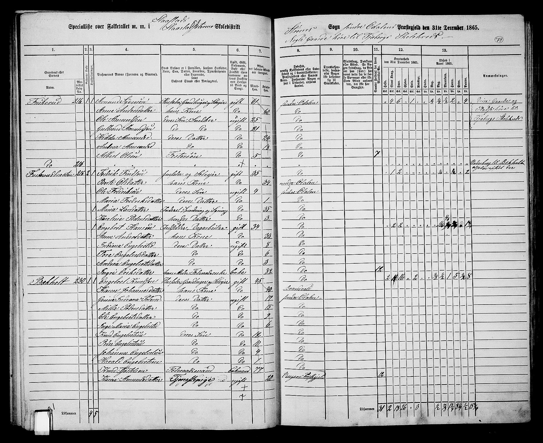 RA, 1865 census for Sør-Odal, 1865, p. 69