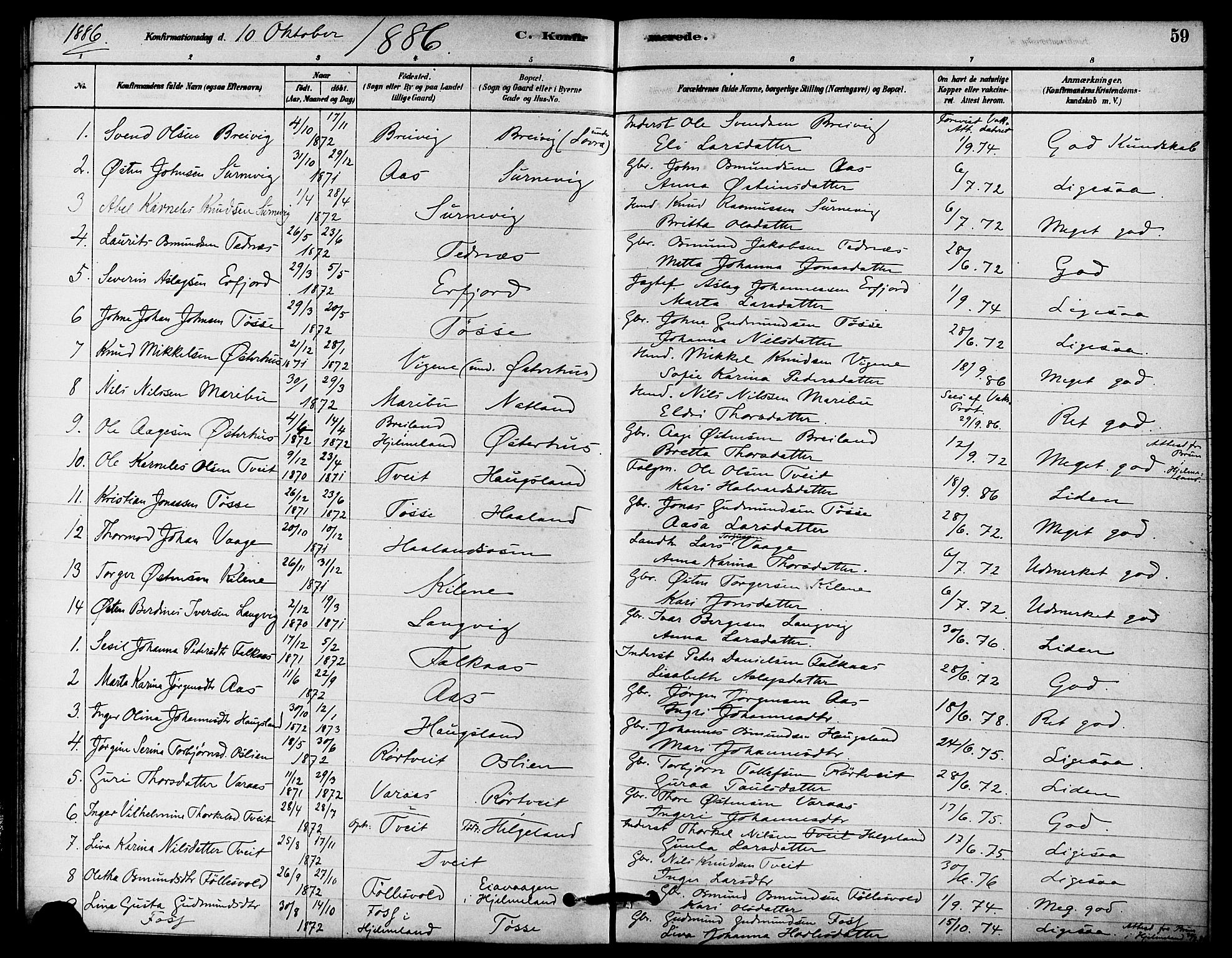 Jelsa sokneprestkontor, AV/SAST-A-101842/01/IV: Parish register (official) no. A 9, 1878-1898, p. 59