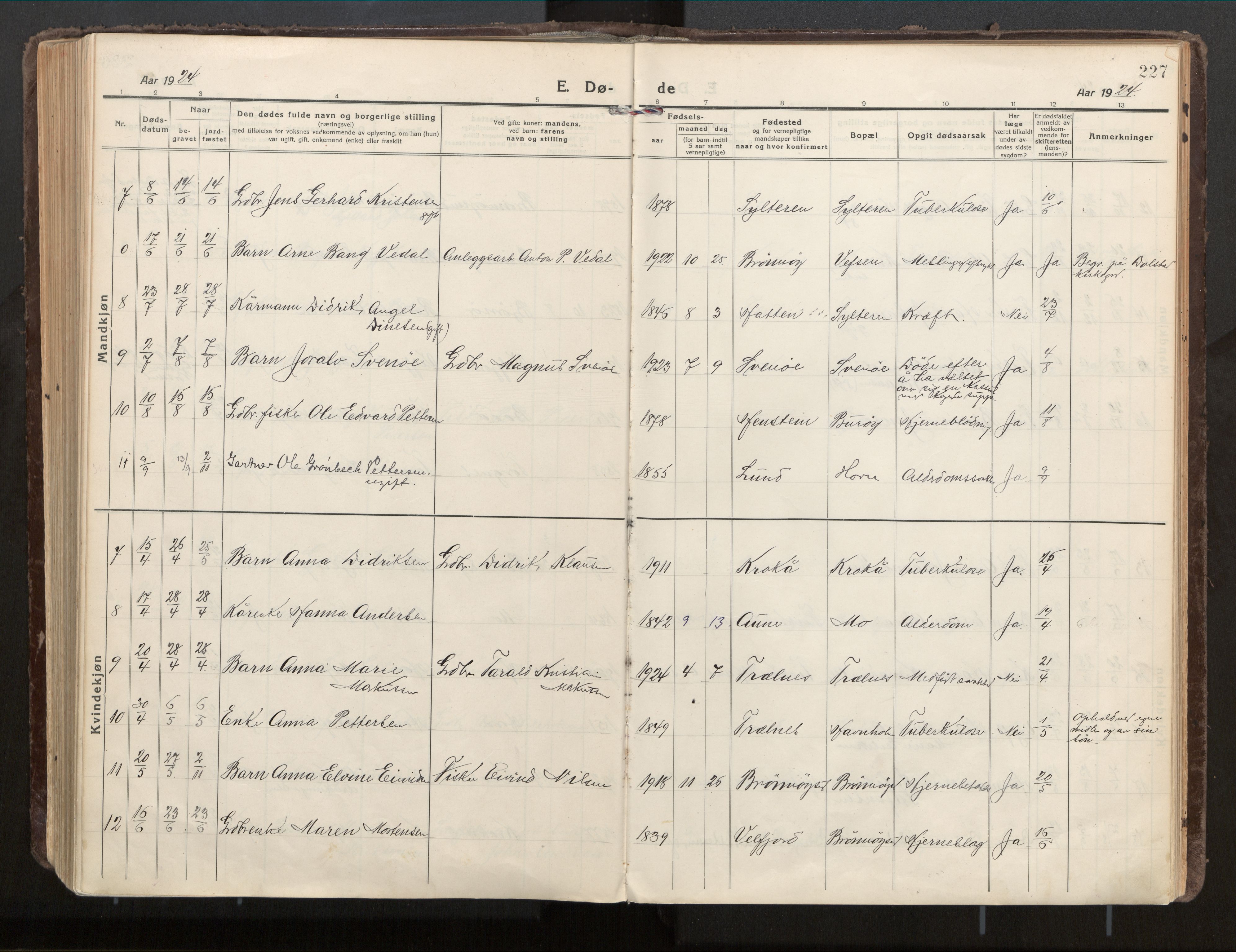 Ministerialprotokoller, klokkerbøker og fødselsregistre - Nordland, AV/SAT-A-1459/813/L0207a: Parish register (official) no. 813A18, 1919-1927, p. 227