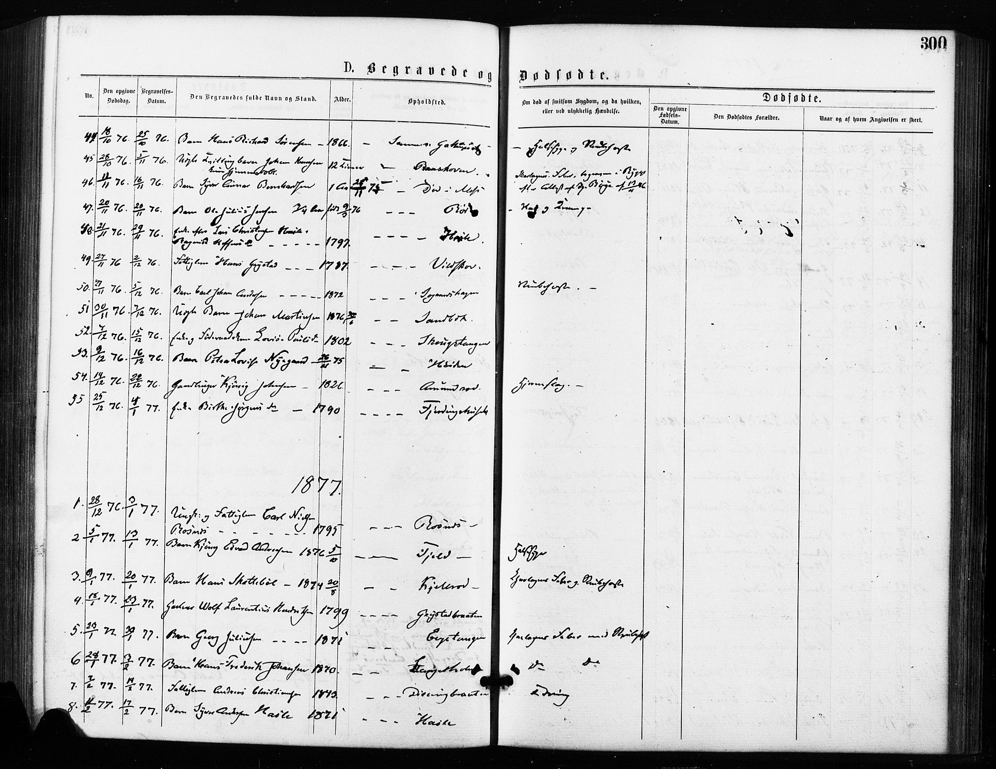 Rygge prestekontor Kirkebøker, AV/SAO-A-10084b/F/Fa/L0006: Parish register (official) no. 6, 1872-1877, p. 300