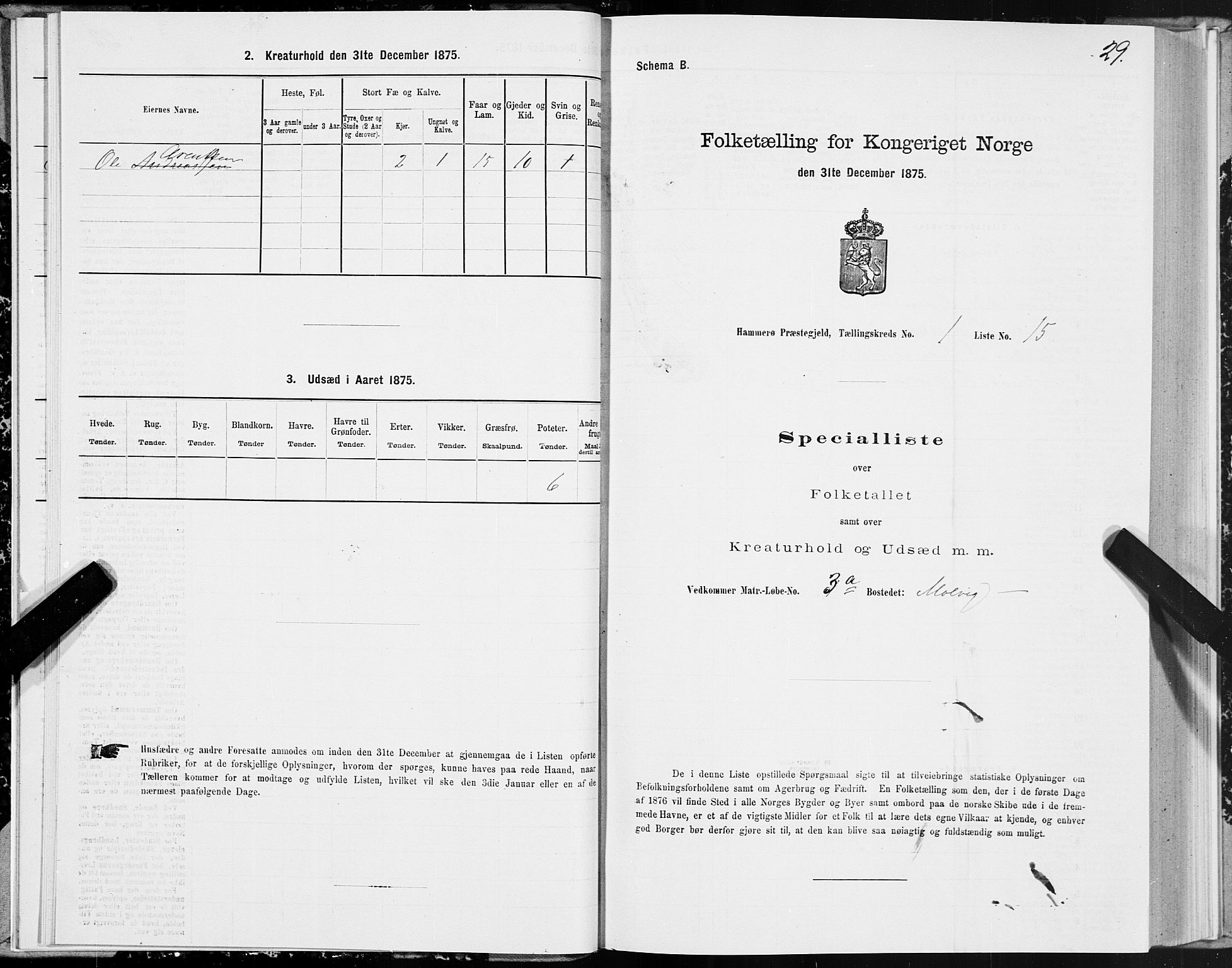 SAT, 1875 census for 1849P Hamarøy, 1875, p. 1029