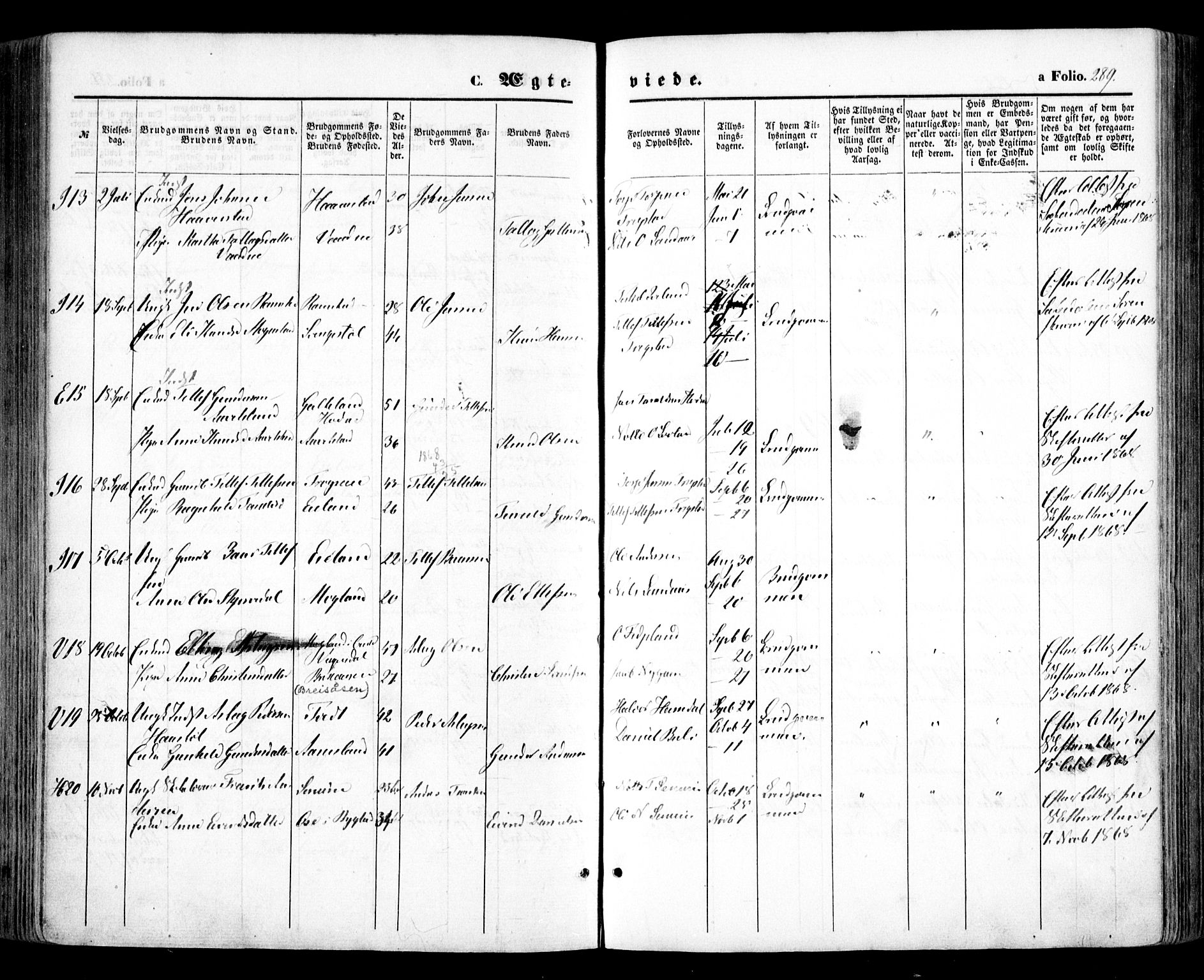 Evje sokneprestkontor, SAK/1111-0008/F/Fa/Faa/L0006: Parish register (official) no. A 6, 1866-1884, p. 289