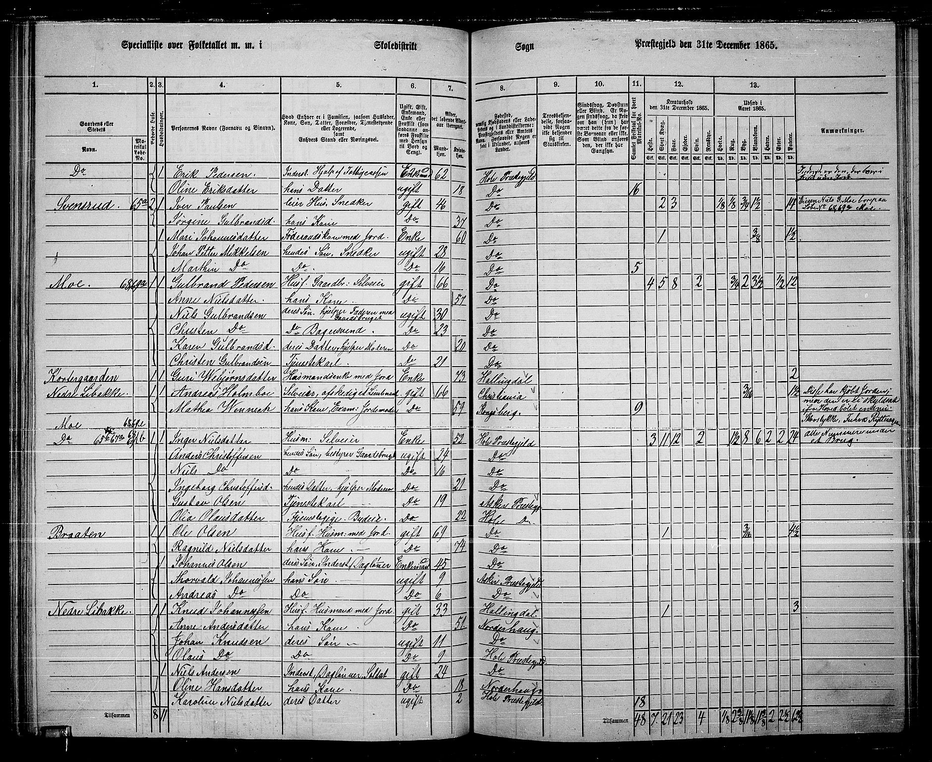 RA, 1865 census for Hole, 1865, p. 97