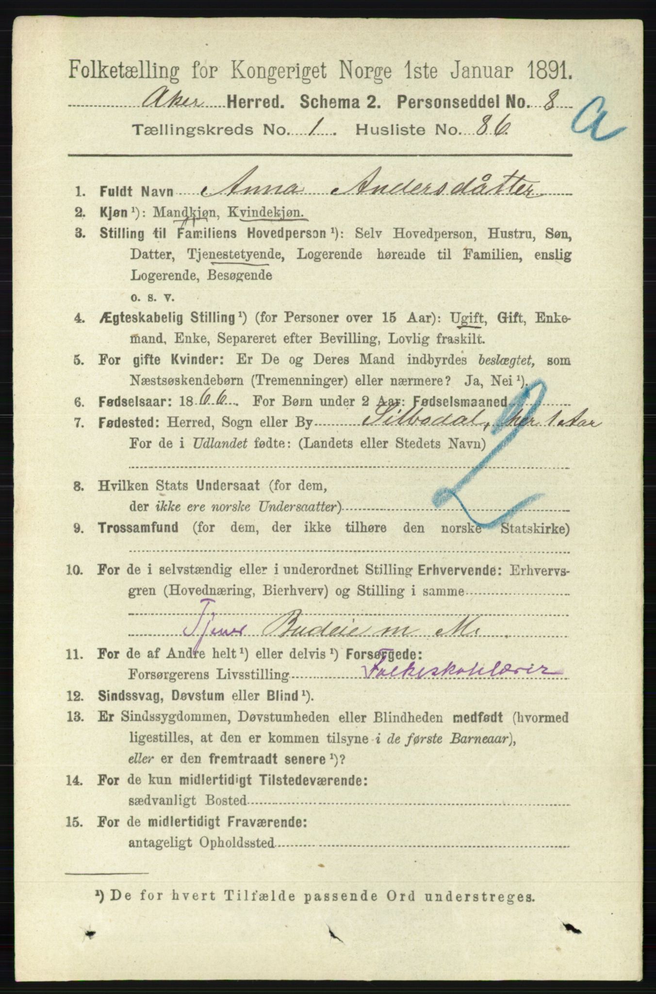 RA, 1891 census for 0218 Aker, 1891, p. 1176