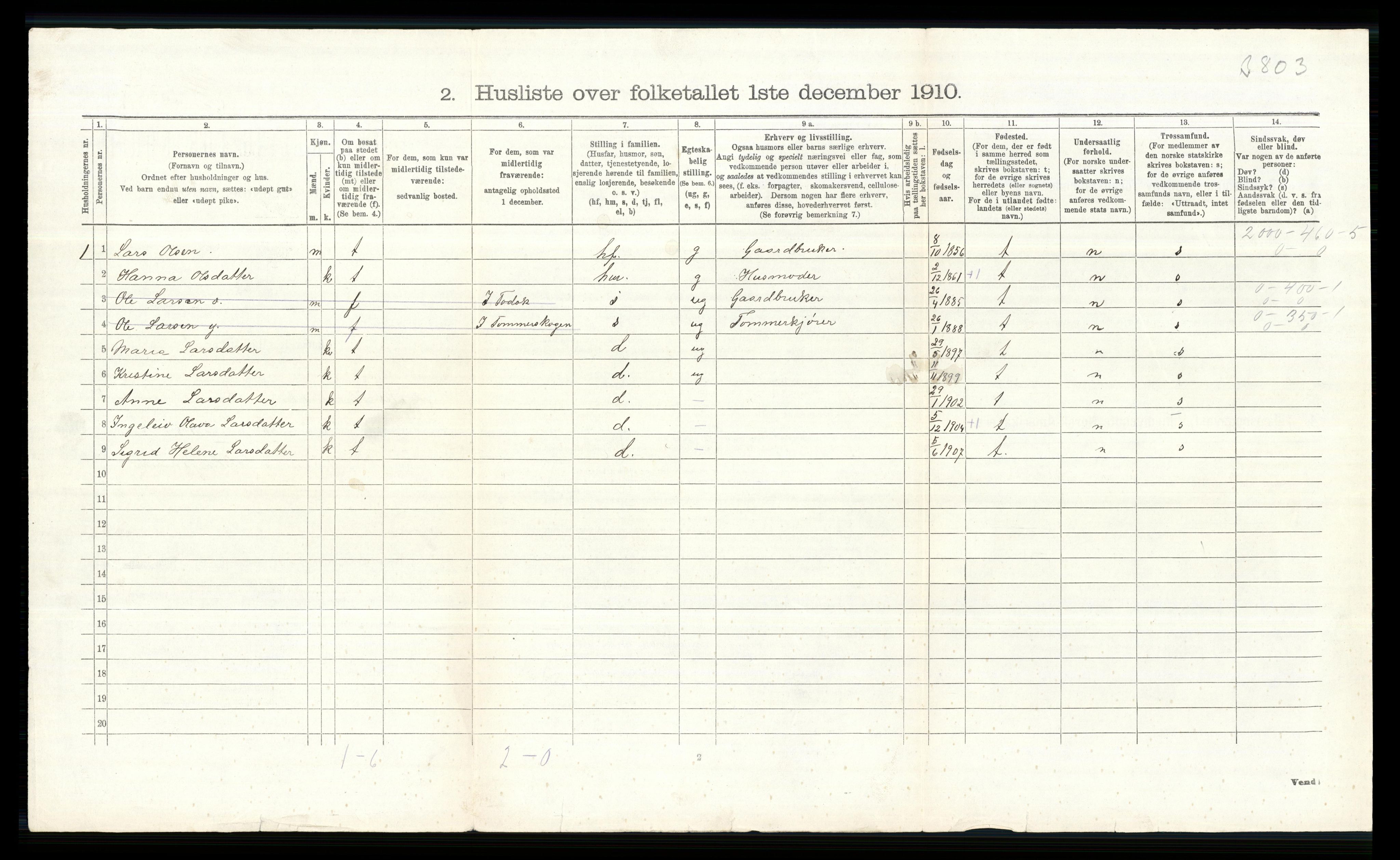 RA, 1910 census for Nes, 1910, p. 319