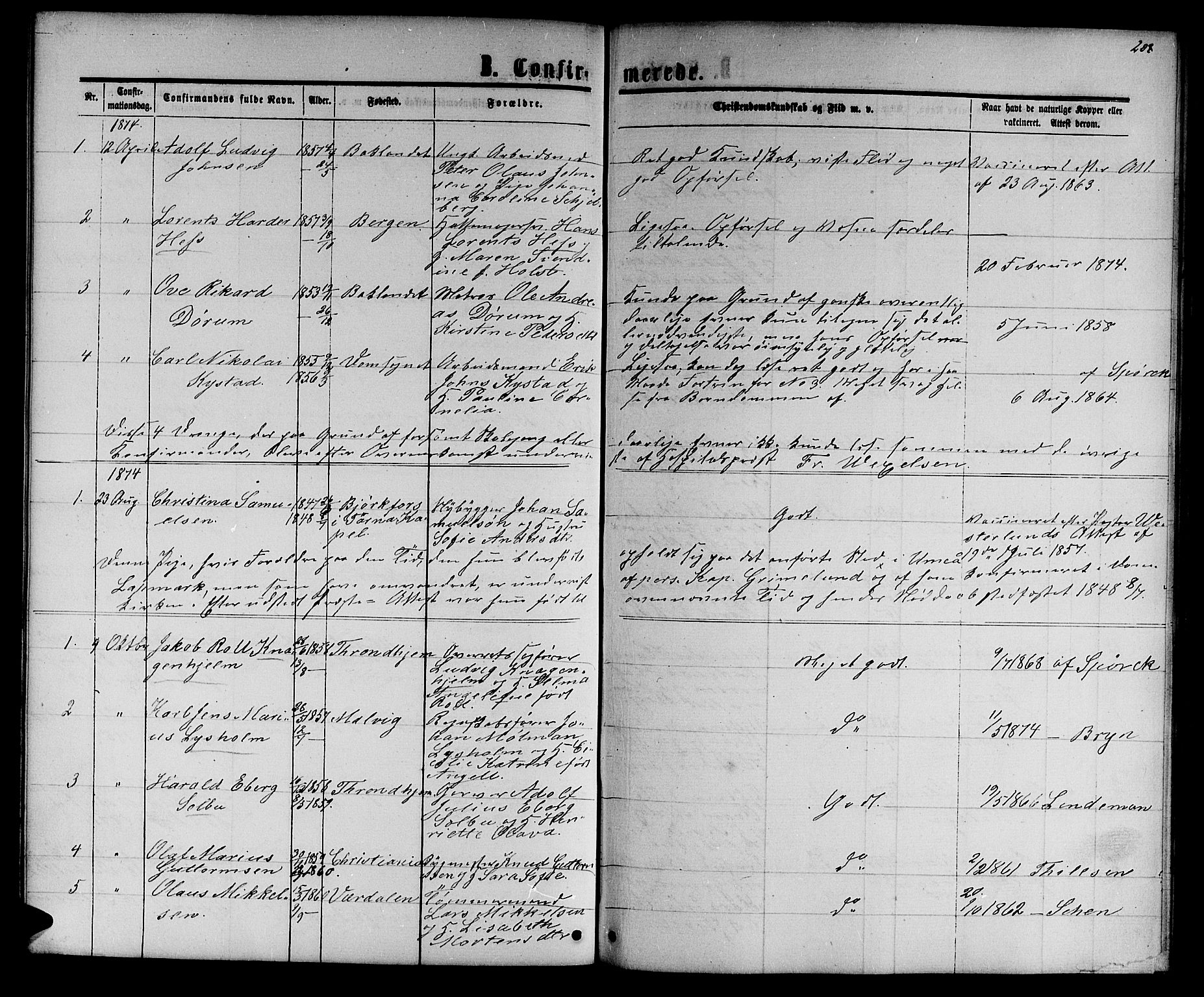 Ministerialprotokoller, klokkerbøker og fødselsregistre - Sør-Trøndelag, AV/SAT-A-1456/601/L0087: Parish register (copy) no. 601C05, 1864-1881, p. 208a