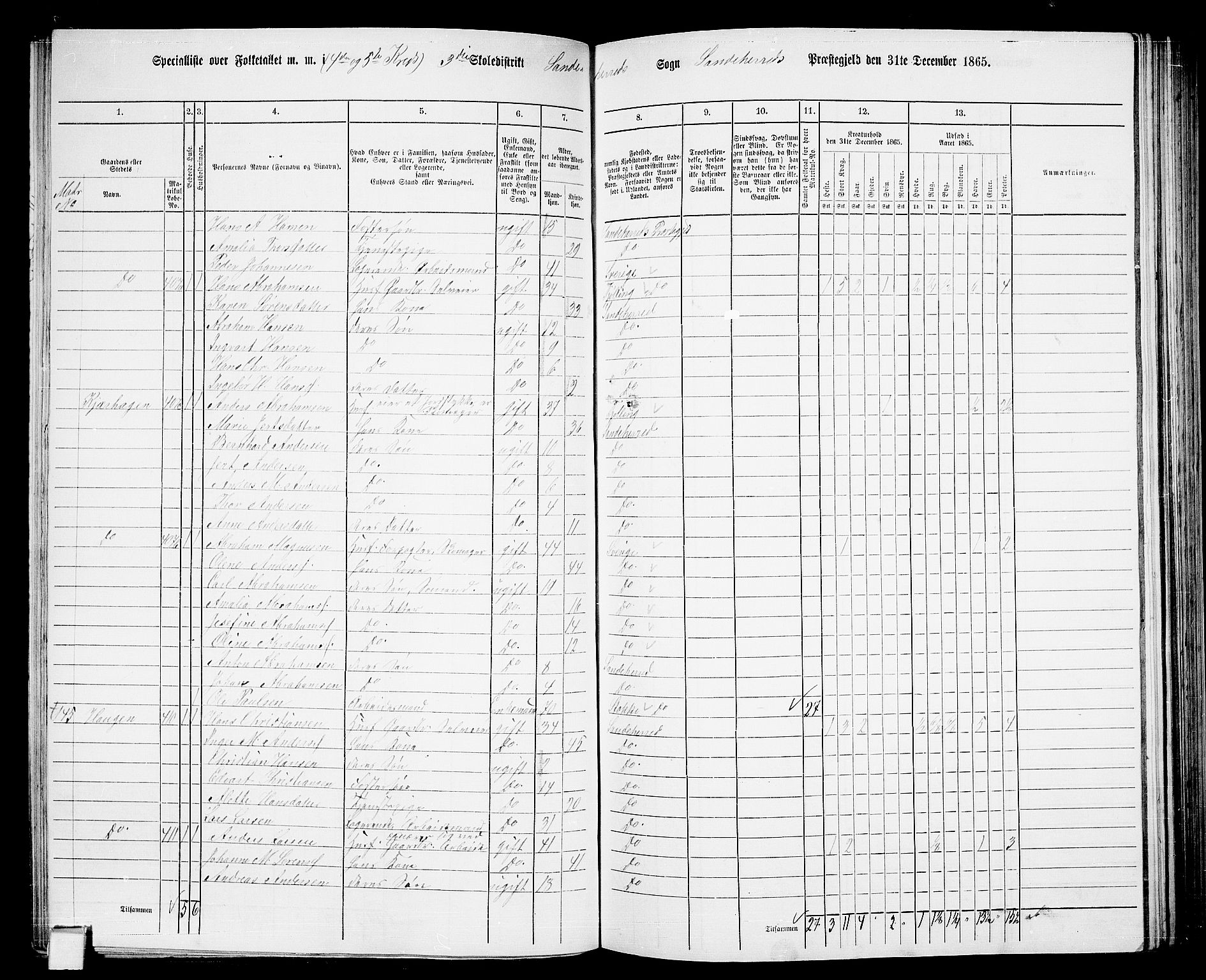 RA, 1865 census for Sandeherred/Sandeherred, 1865, p. 96