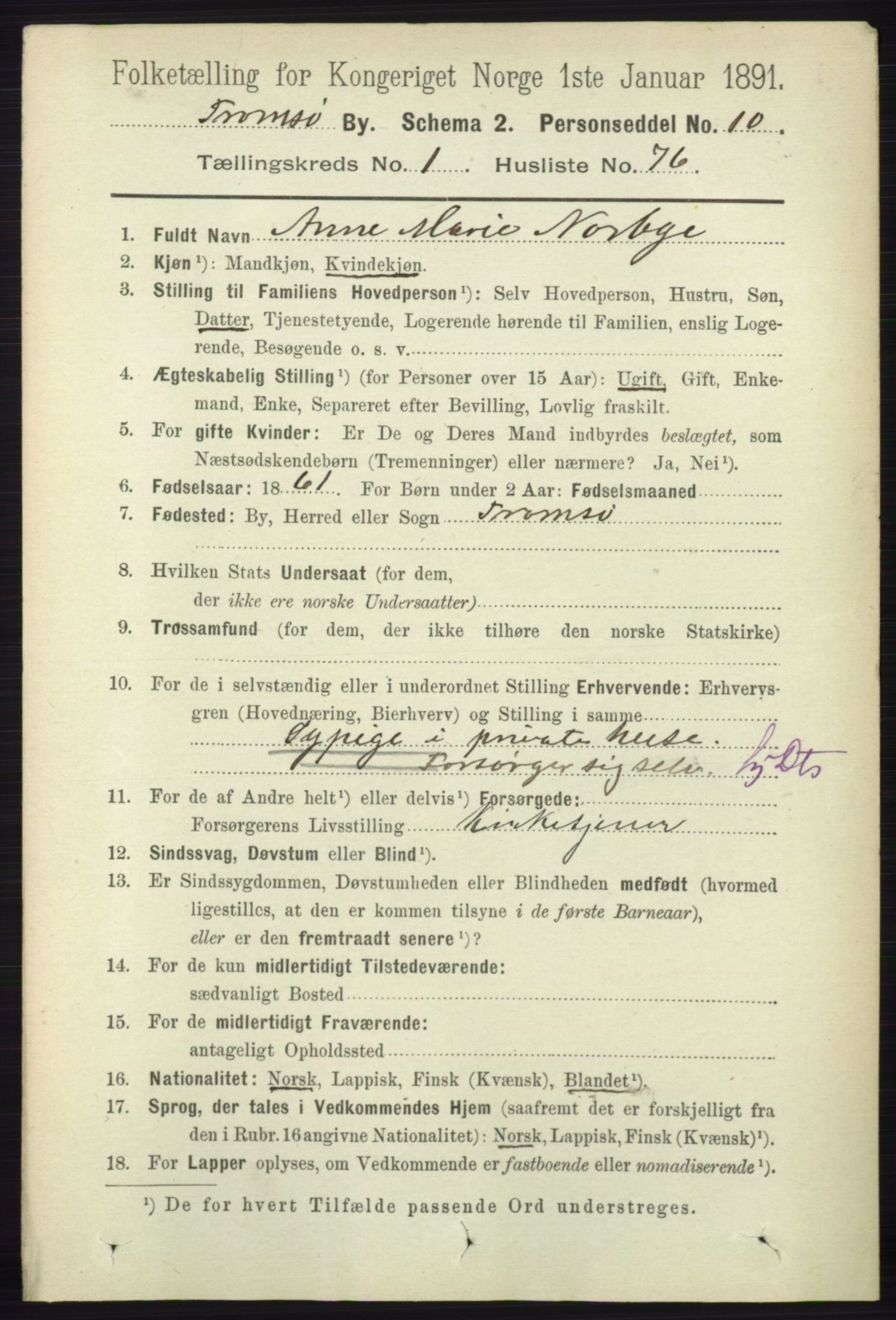 RA, 1891 census for 1902 Tromsø, 1891, p. 1055