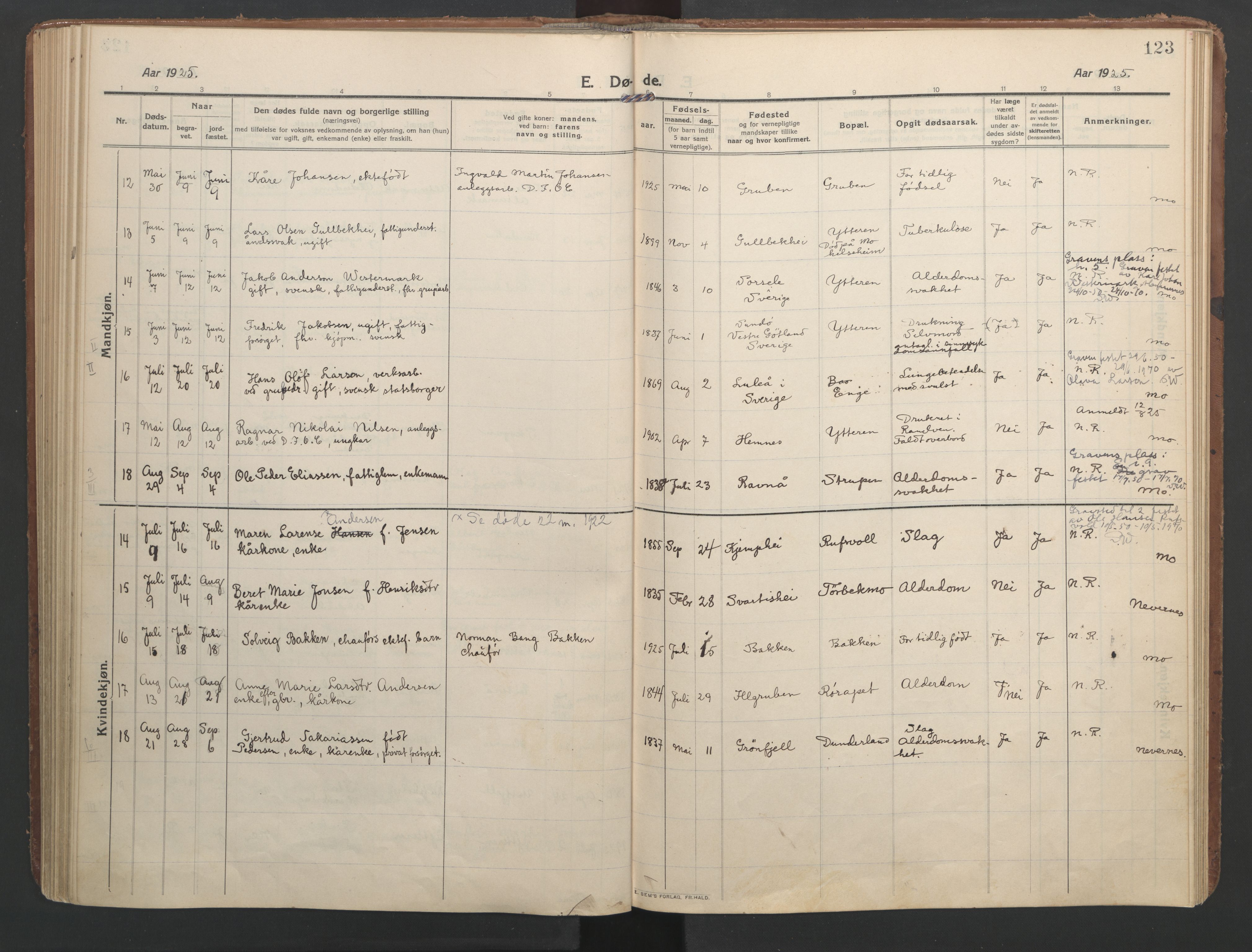 Ministerialprotokoller, klokkerbøker og fødselsregistre - Nordland, AV/SAT-A-1459/827/L0405: Parish register (official) no. 827A17, 1912-1925, p. 123