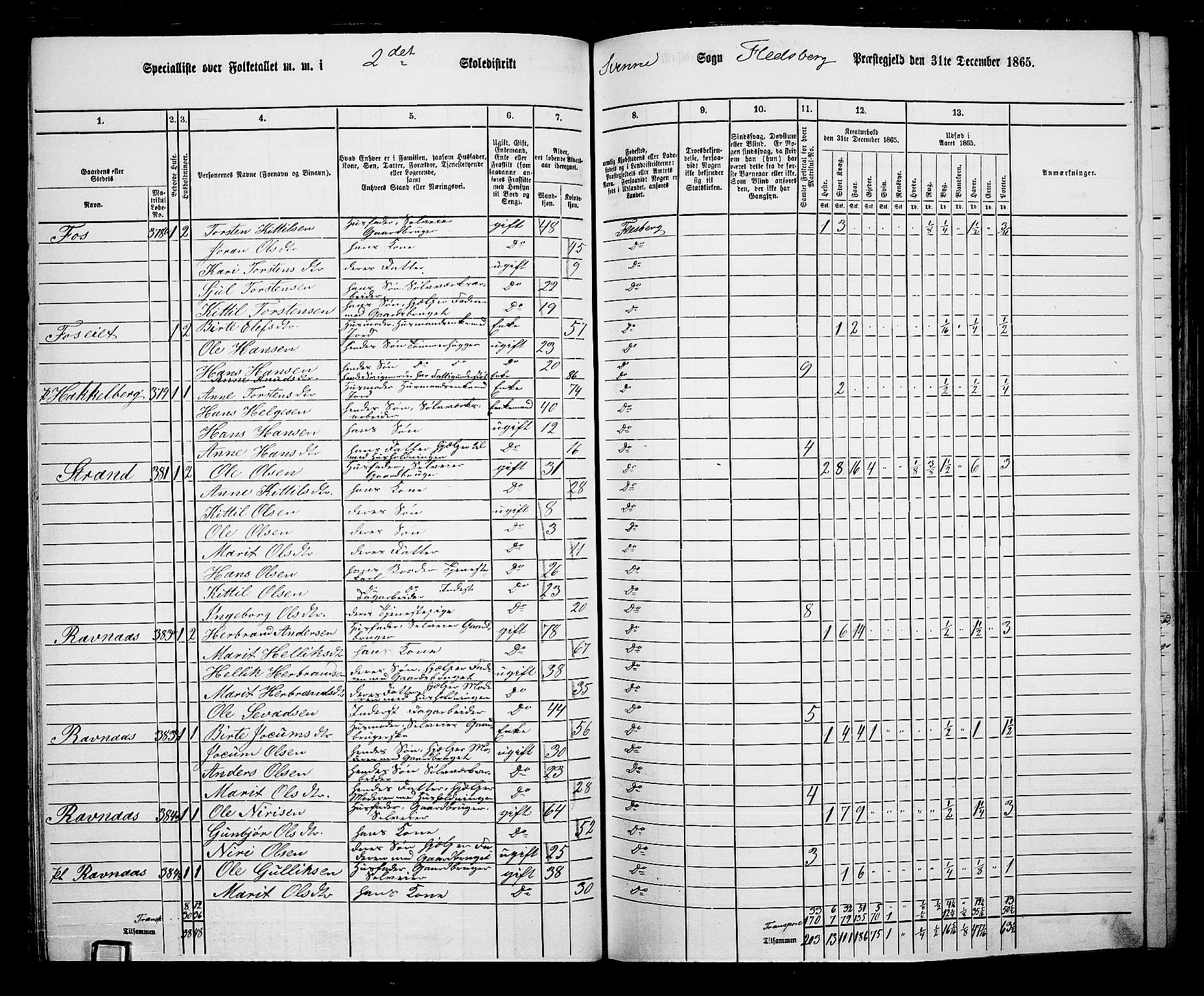 RA, 1865 census for Flesberg, 1865, p. 59