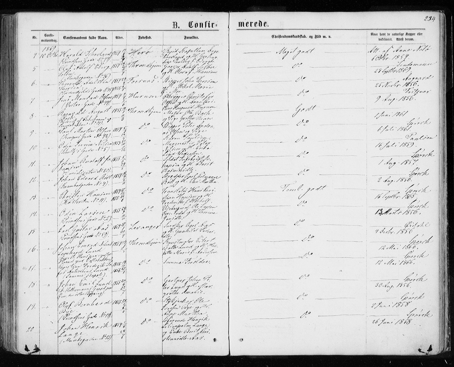 Ministerialprotokoller, klokkerbøker og fødselsregistre - Sør-Trøndelag, AV/SAT-A-1456/601/L0054: Parish register (official) no. 601A22, 1866-1877, p. 234