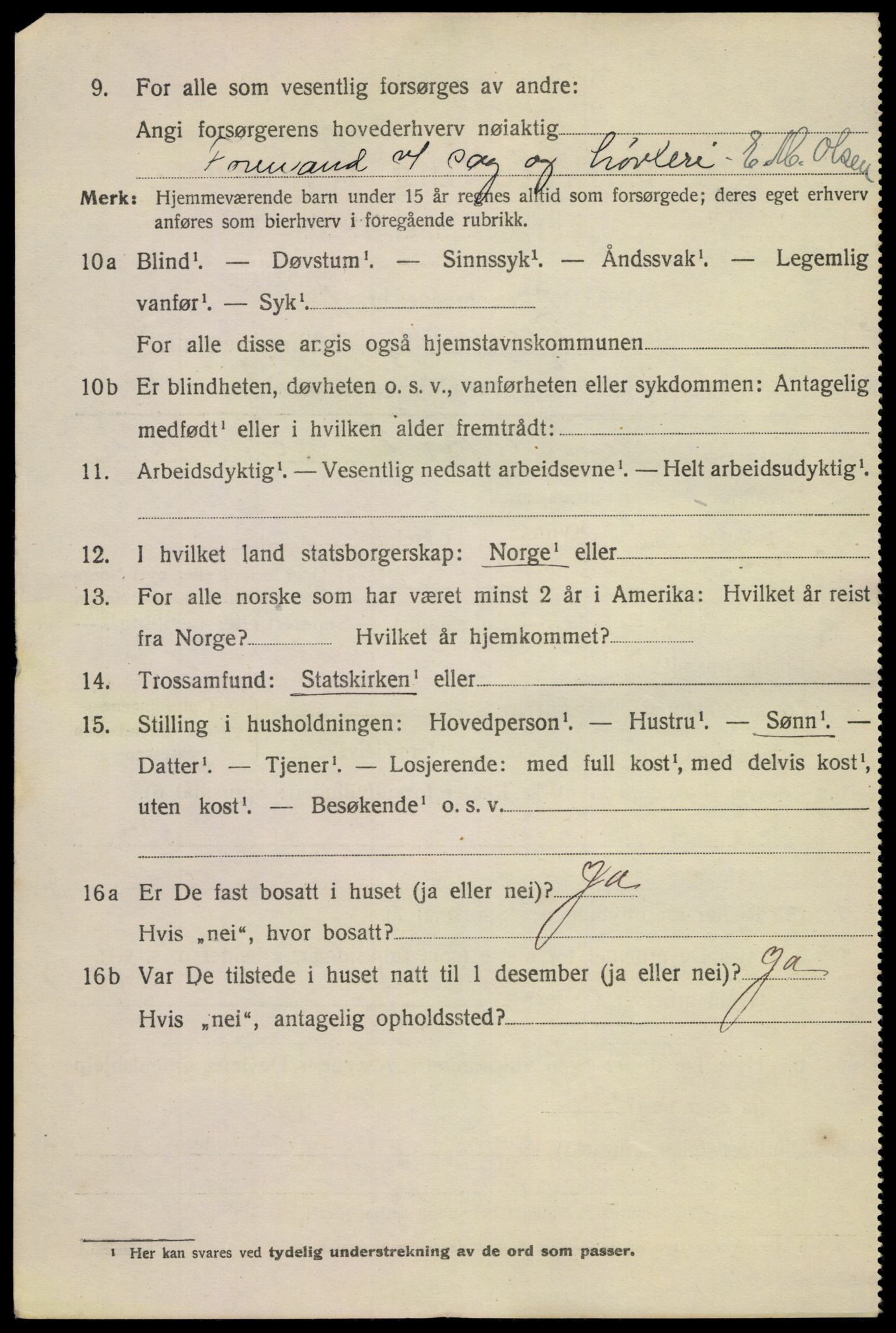 SAKO, 1920 census for Skien, 1920, p. 16853
