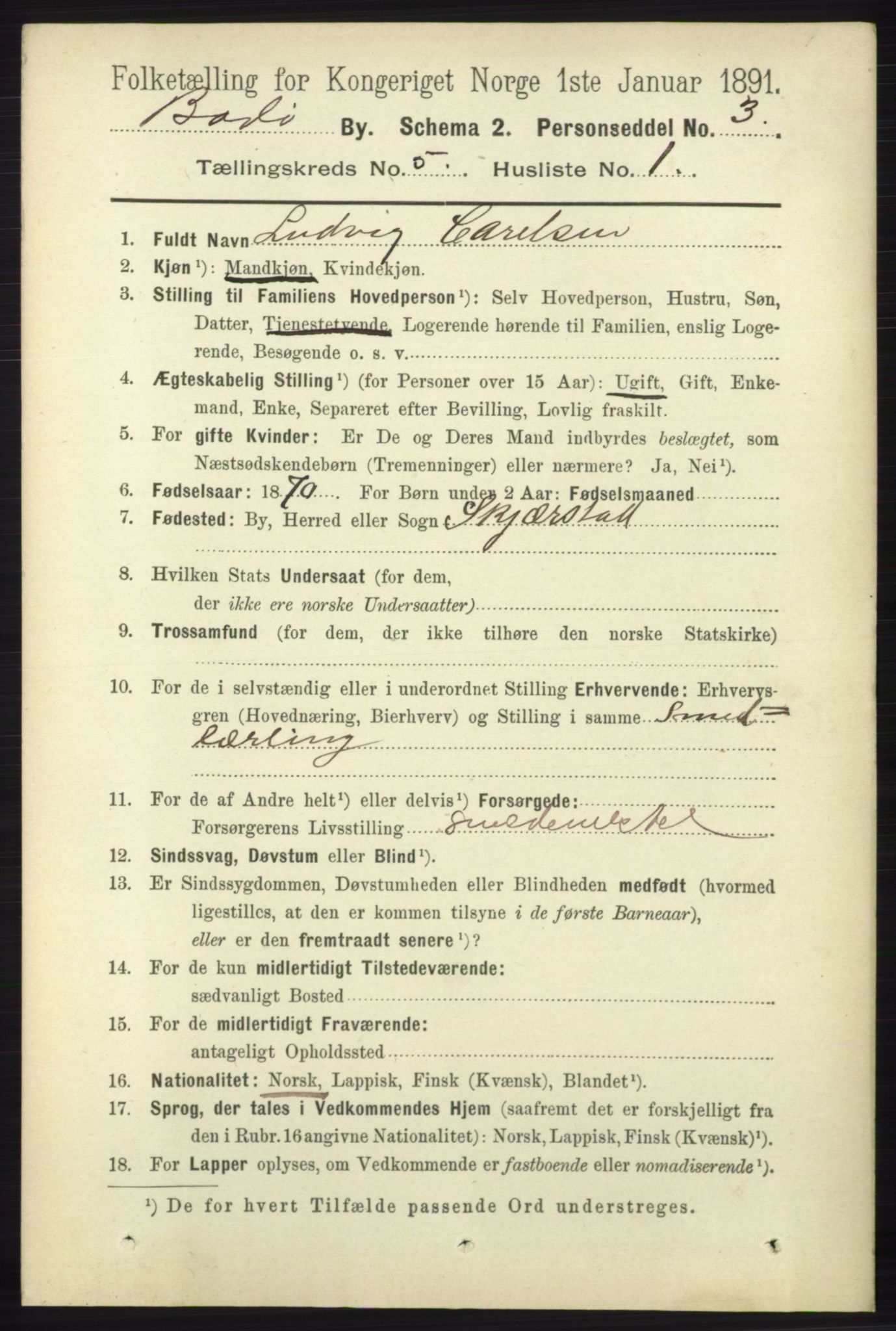 RA, 1891 census for 1804 Bodø, 1891, p. 3908