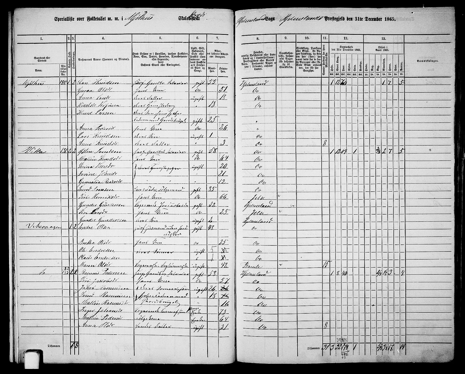 RA, 1865 census for Hjelmeland, 1865, p. 17