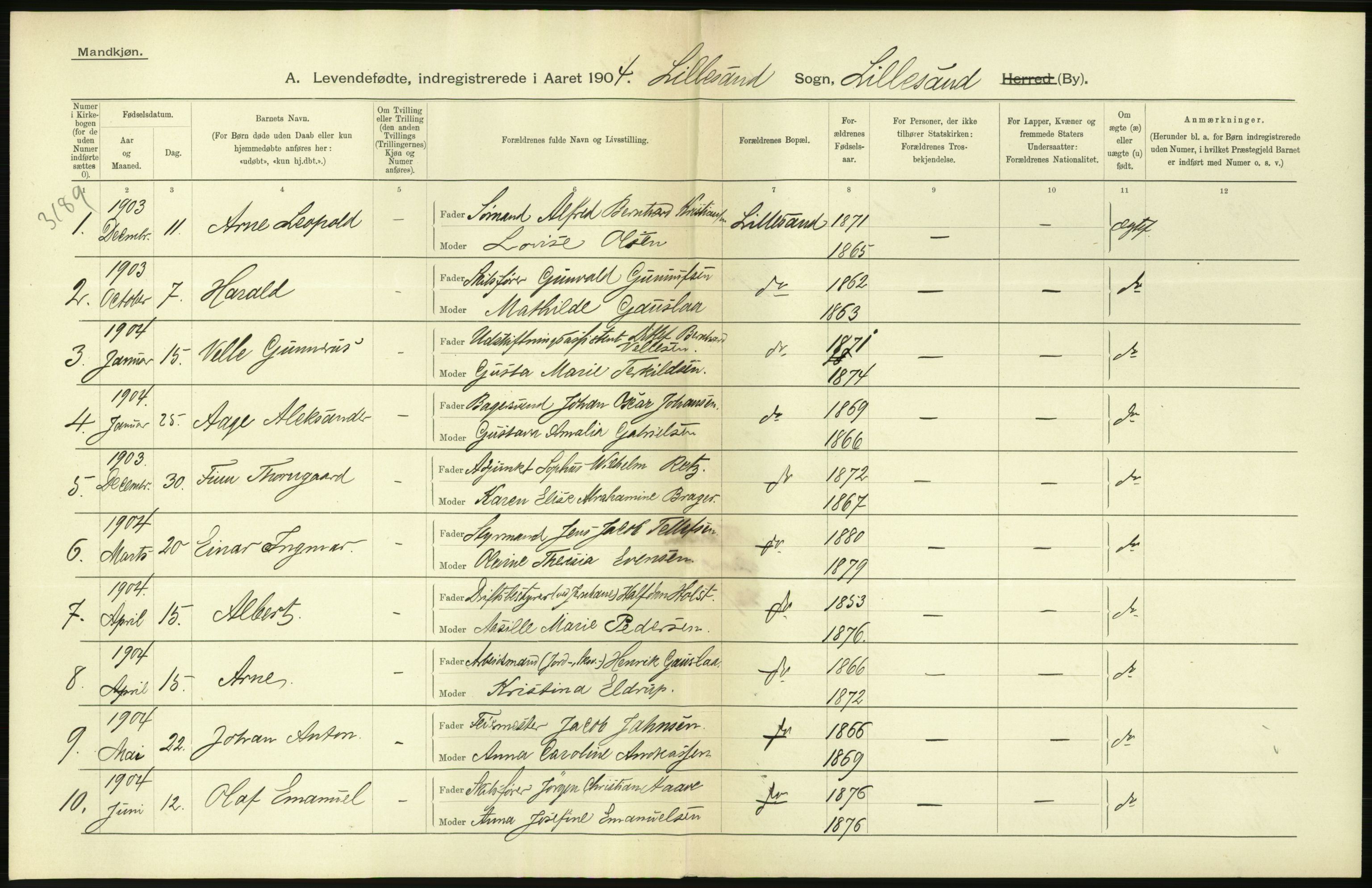 Statistisk sentralbyrå, Sosiodemografiske emner, Befolkning, RA/S-2228/D/Df/Dfa/Dfab/L0010: Nedenes amt: Fødte, gifte, døde, 1904, p. 248