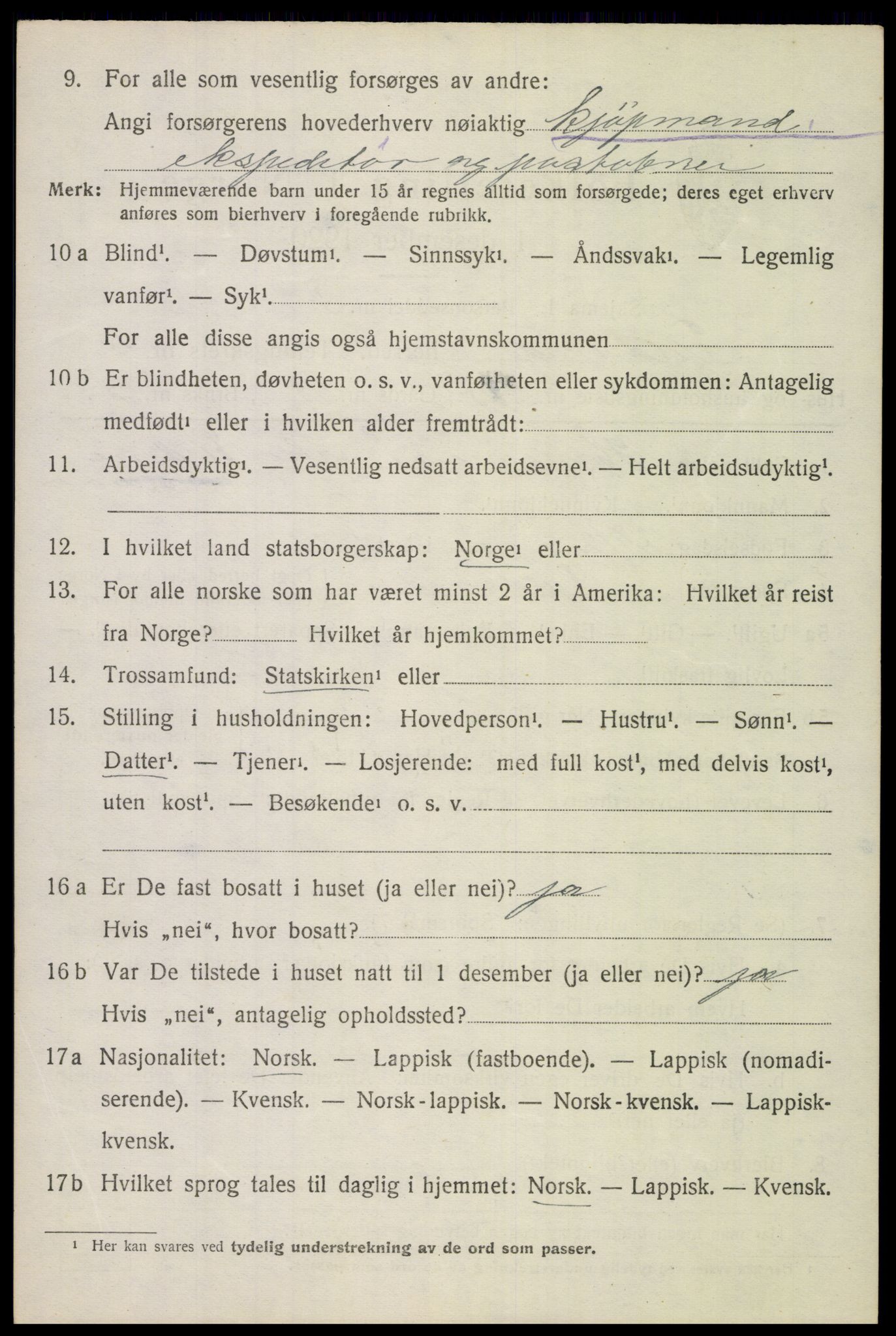 SAT, 1920 census for Tjeldsund, 1920, p. 3227