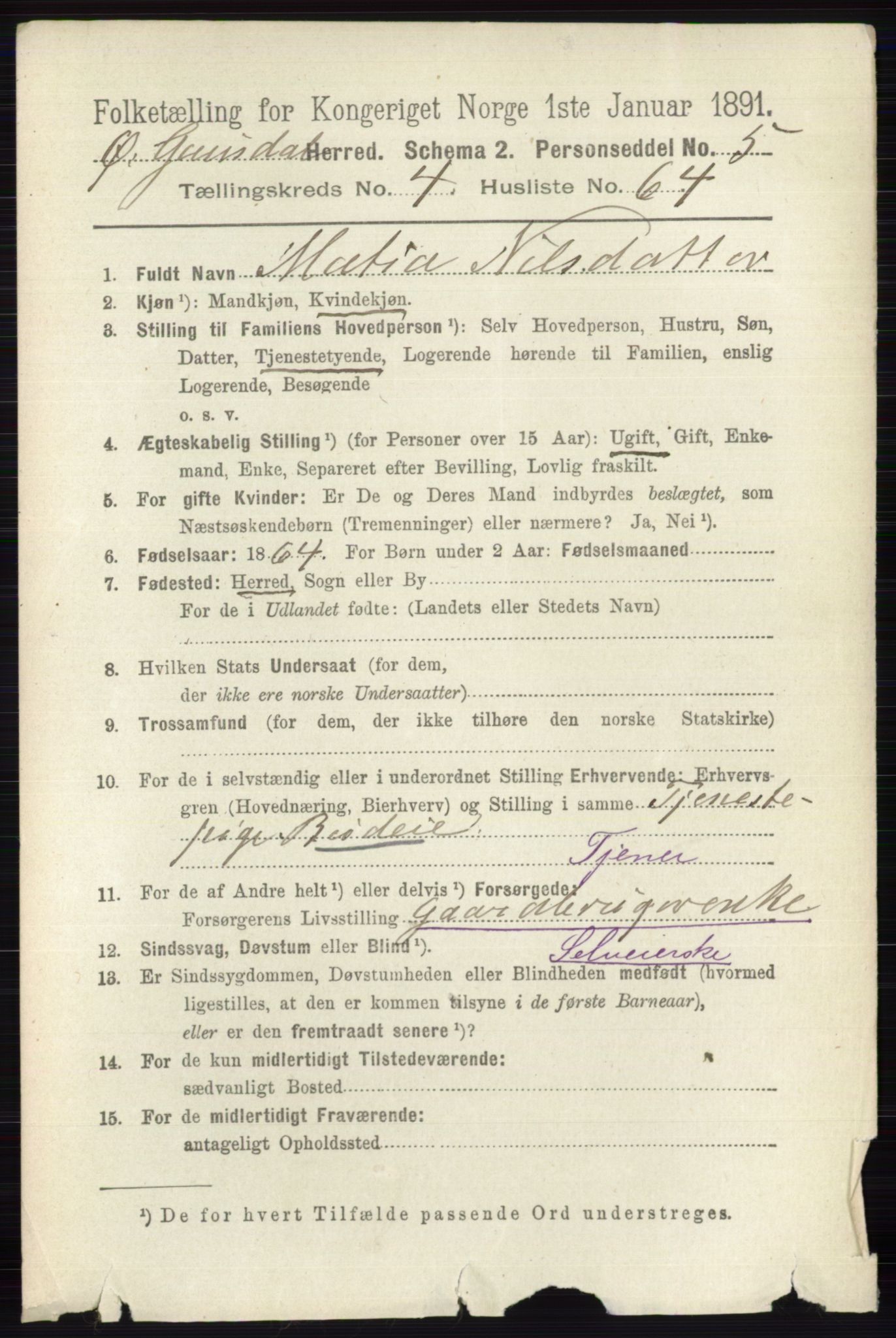 RA, 1891 census for 0522 Østre Gausdal, 1891, p. 2913