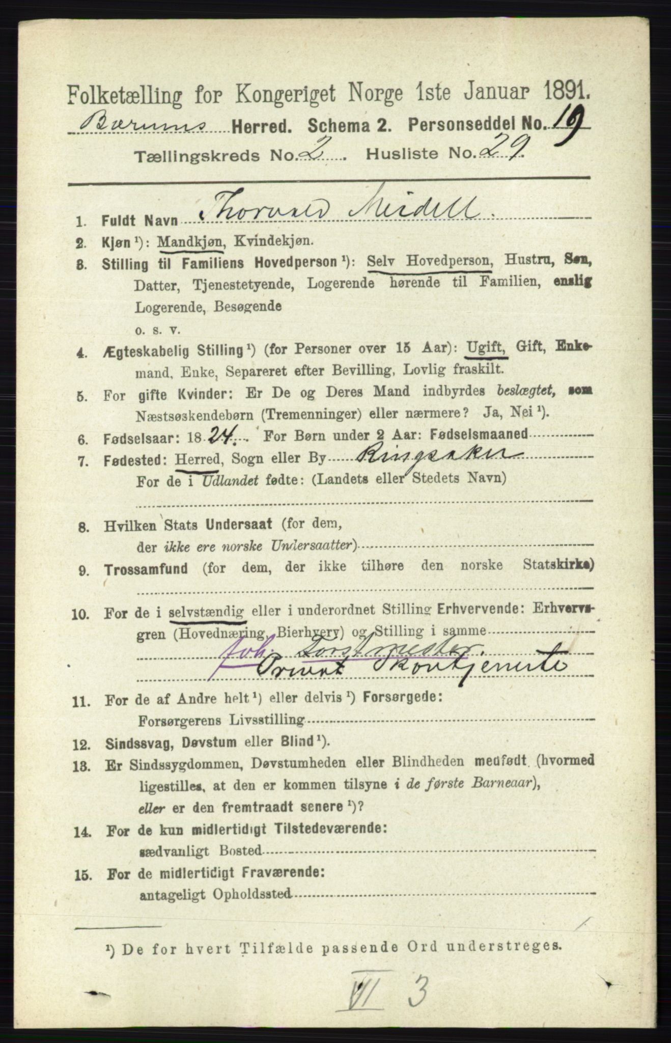 RA, 1891 census for 0219 Bærum, 1891, p. 1303