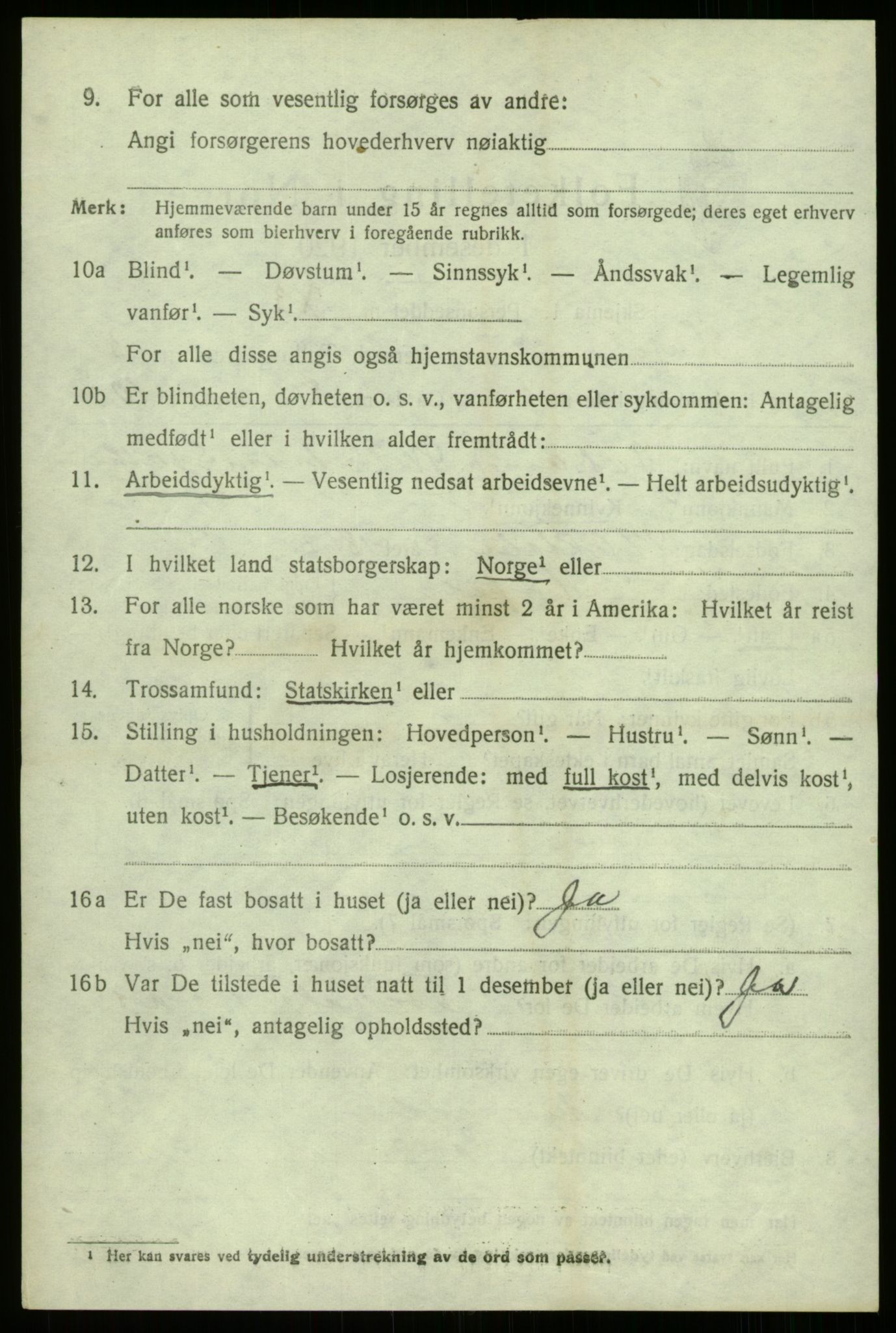 SAB, 1920 census for Hafslo, 1920, p. 4493