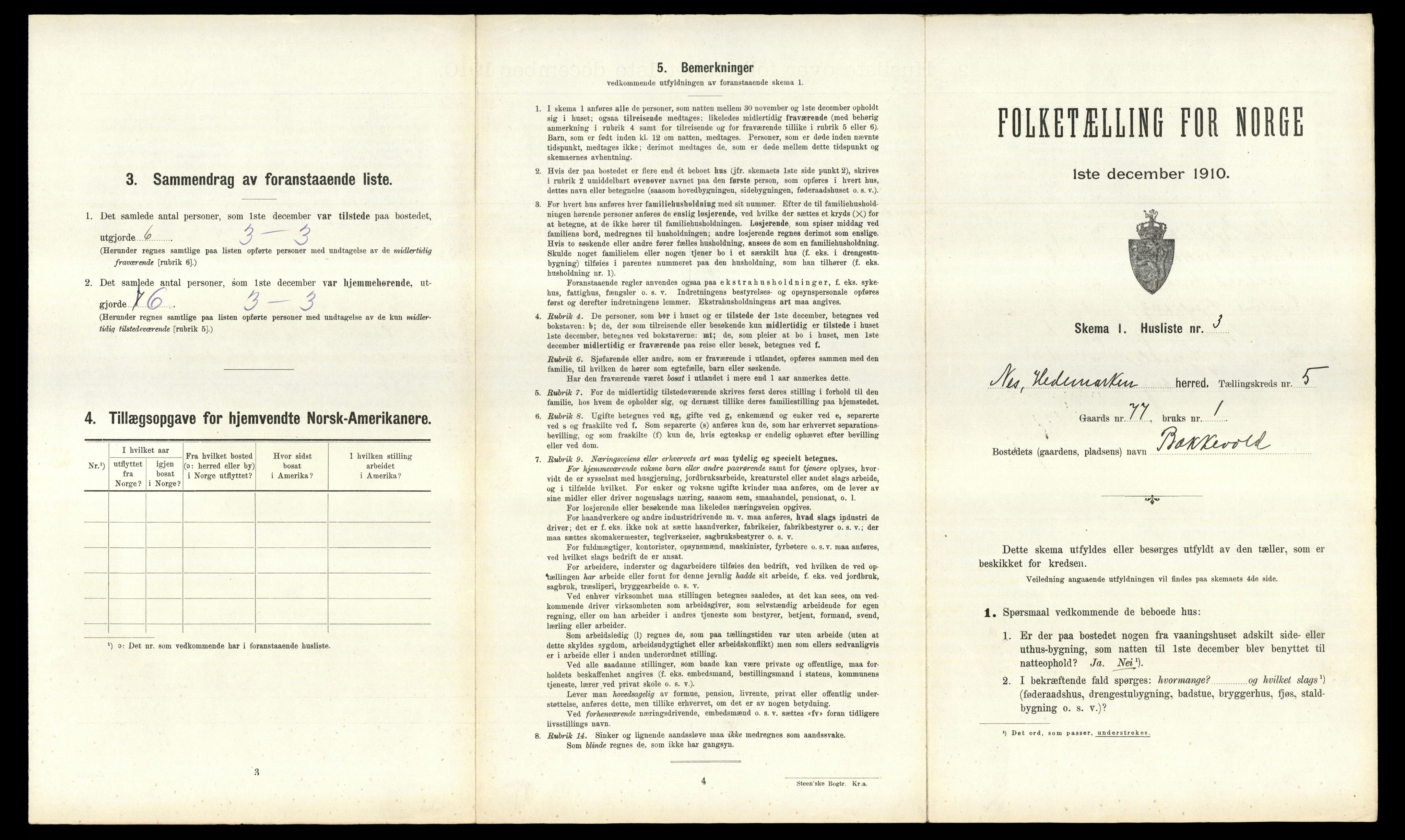 RA, 1910 census for Nes, 1910, p. 847