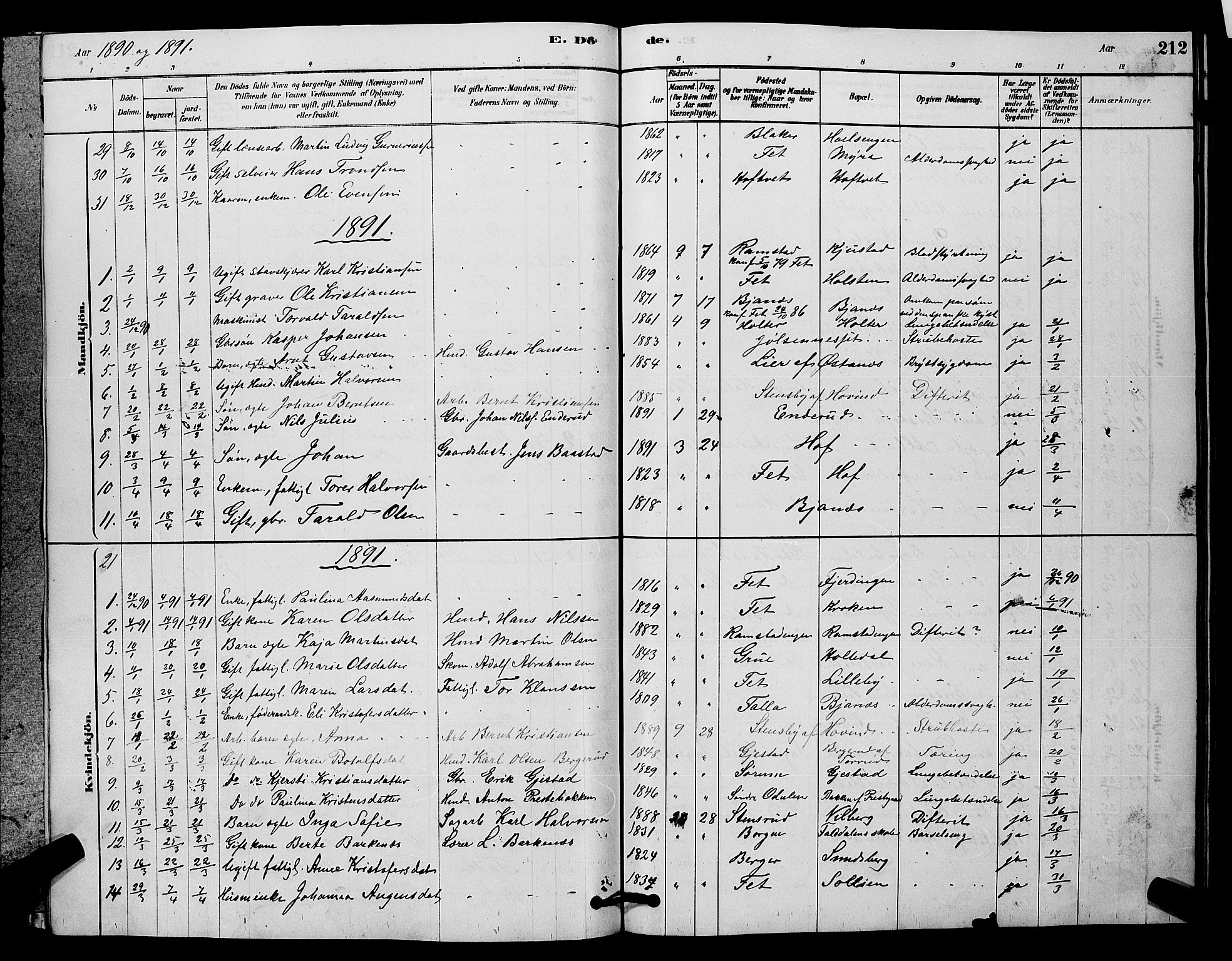 Fet prestekontor Kirkebøker, AV/SAO-A-10370a/G/Ga/L0006: Parish register (copy) no. I 6, 1878-1891, p. 212