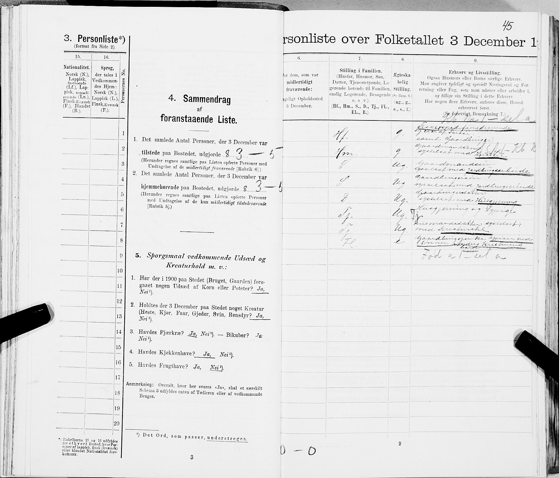 SAT, 1900 census for Skjerstad, 1900, p. 45