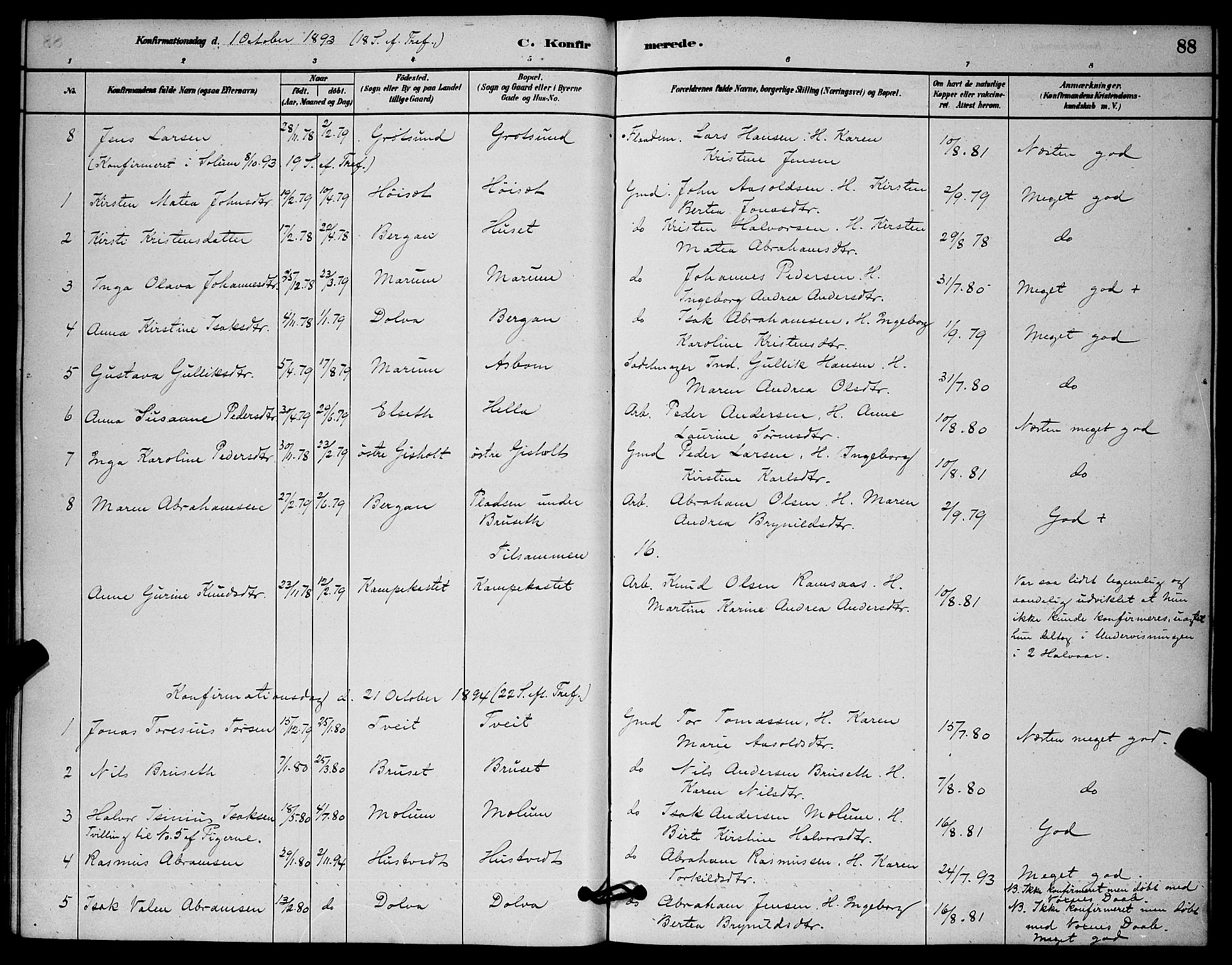 Solum kirkebøker, AV/SAKO-A-306/G/Gb/L0003: Parish register (copy) no. II 3, 1880-1898, p. 88