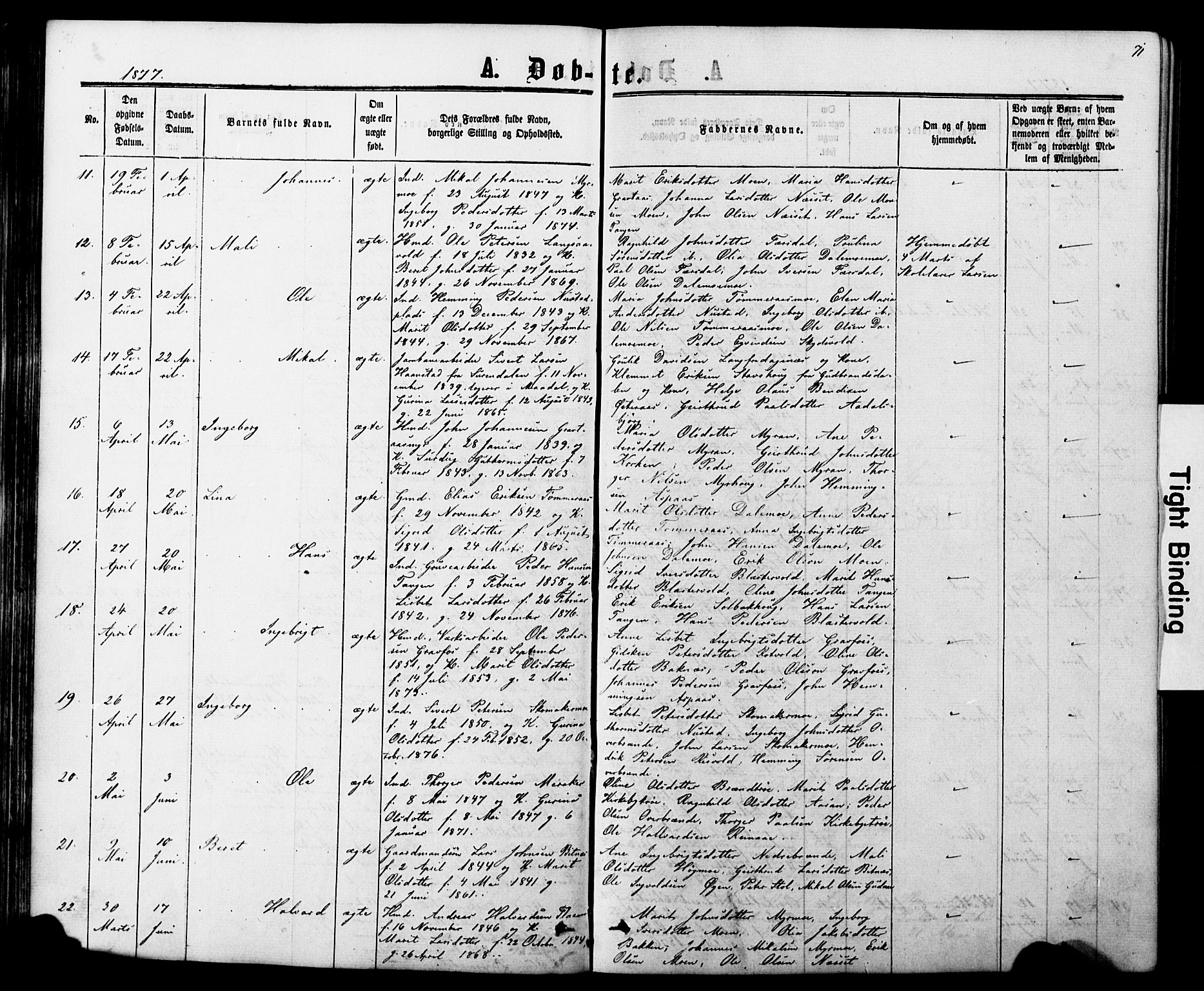 Ministerialprotokoller, klokkerbøker og fødselsregistre - Nord-Trøndelag, SAT/A-1458/706/L0049: Parish register (copy) no. 706C01, 1864-1895, p. 71