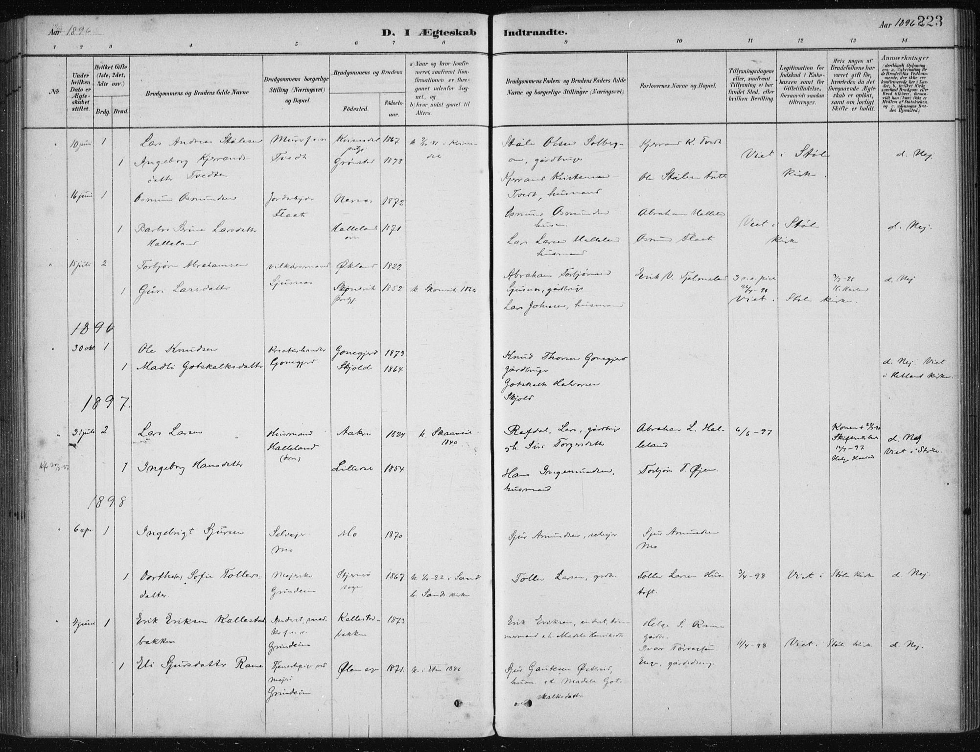 Etne sokneprestembete, AV/SAB-A-75001/H/Haa: Parish register (official) no. D  1, 1879-1919, p. 223