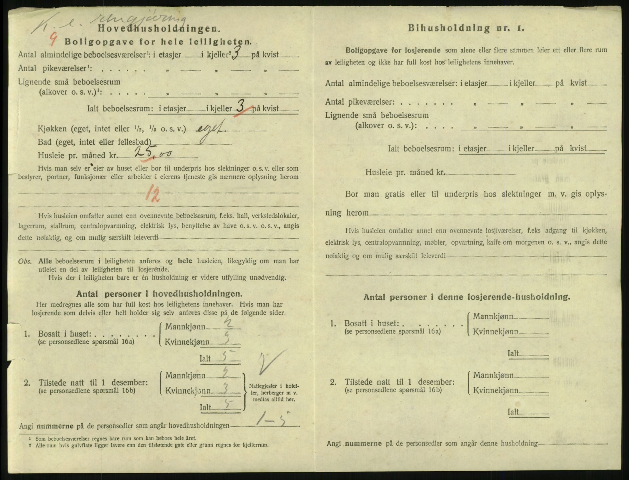 SAKO, 1920 census for Larvik, 1920, p. 6409