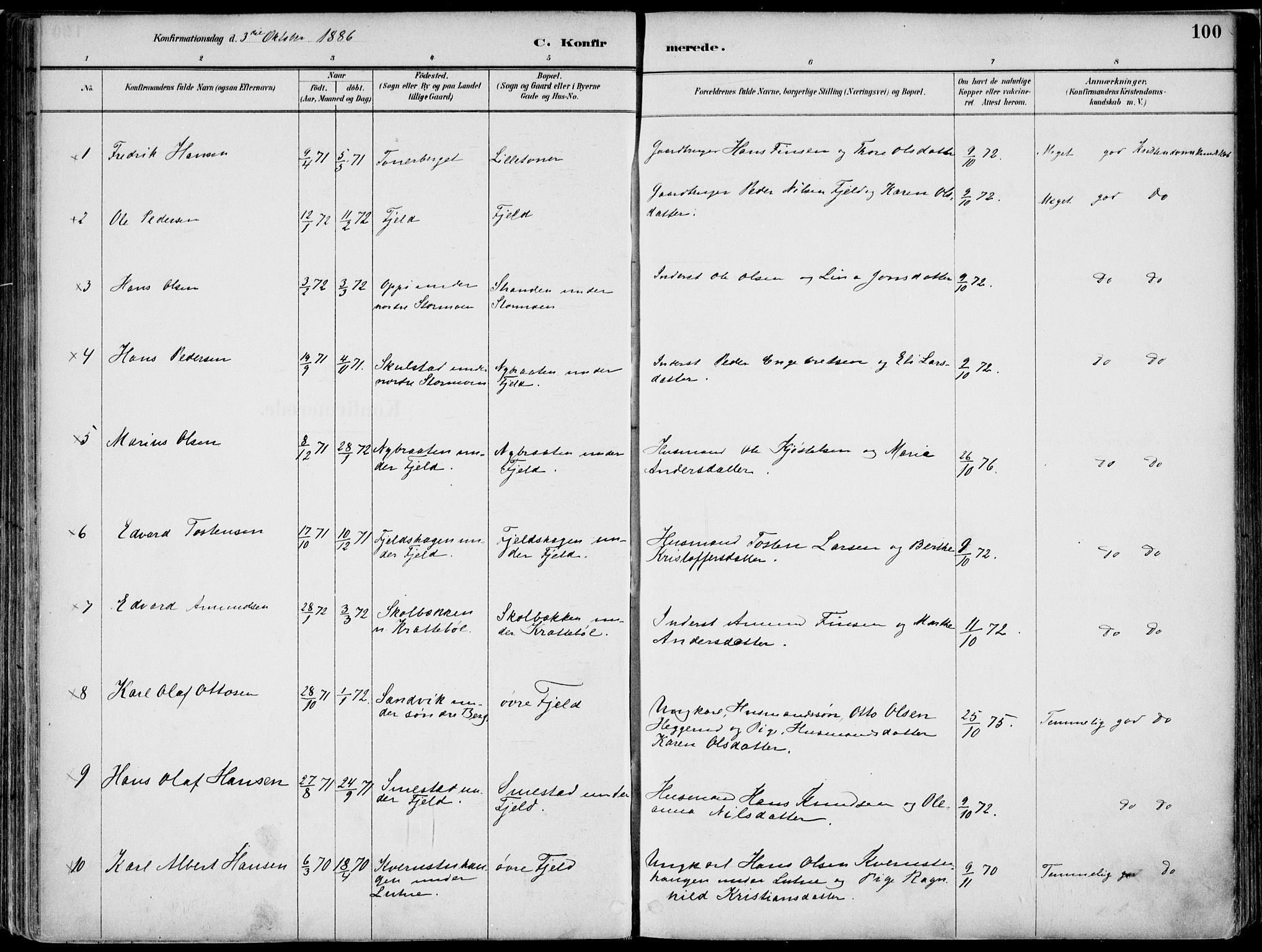 Nord-Odal prestekontor, AV/SAH-PREST-032/H/Ha/Haa/L0008: Parish register (official) no. 8, 1886-1901, p. 100